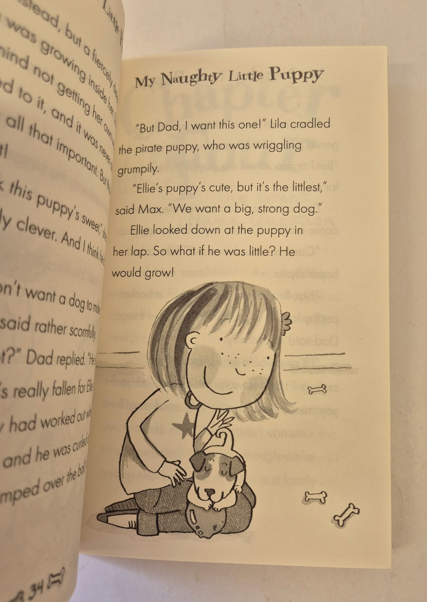 A Home for Rascal (My Naughty Little Puppy #1) by Holly Webb