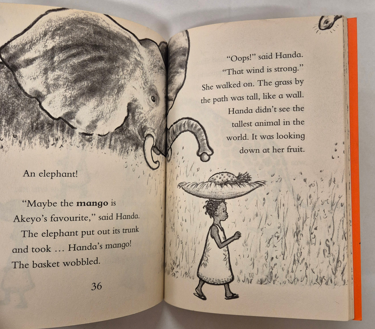 Handa's Surprising Day by Eileen Browne