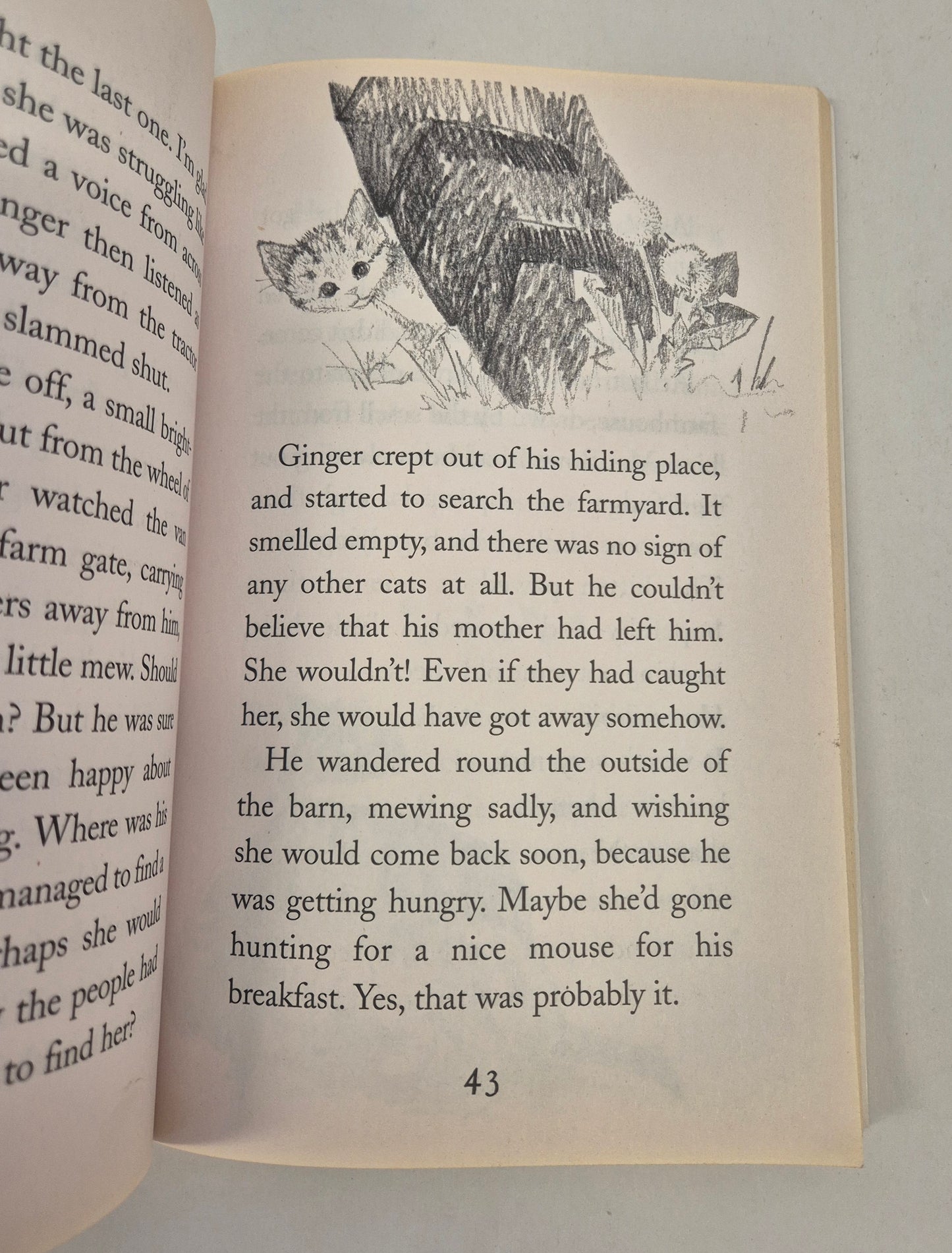 Ginger the Stray Kitten (Animal Stories #14) by Holly Webb