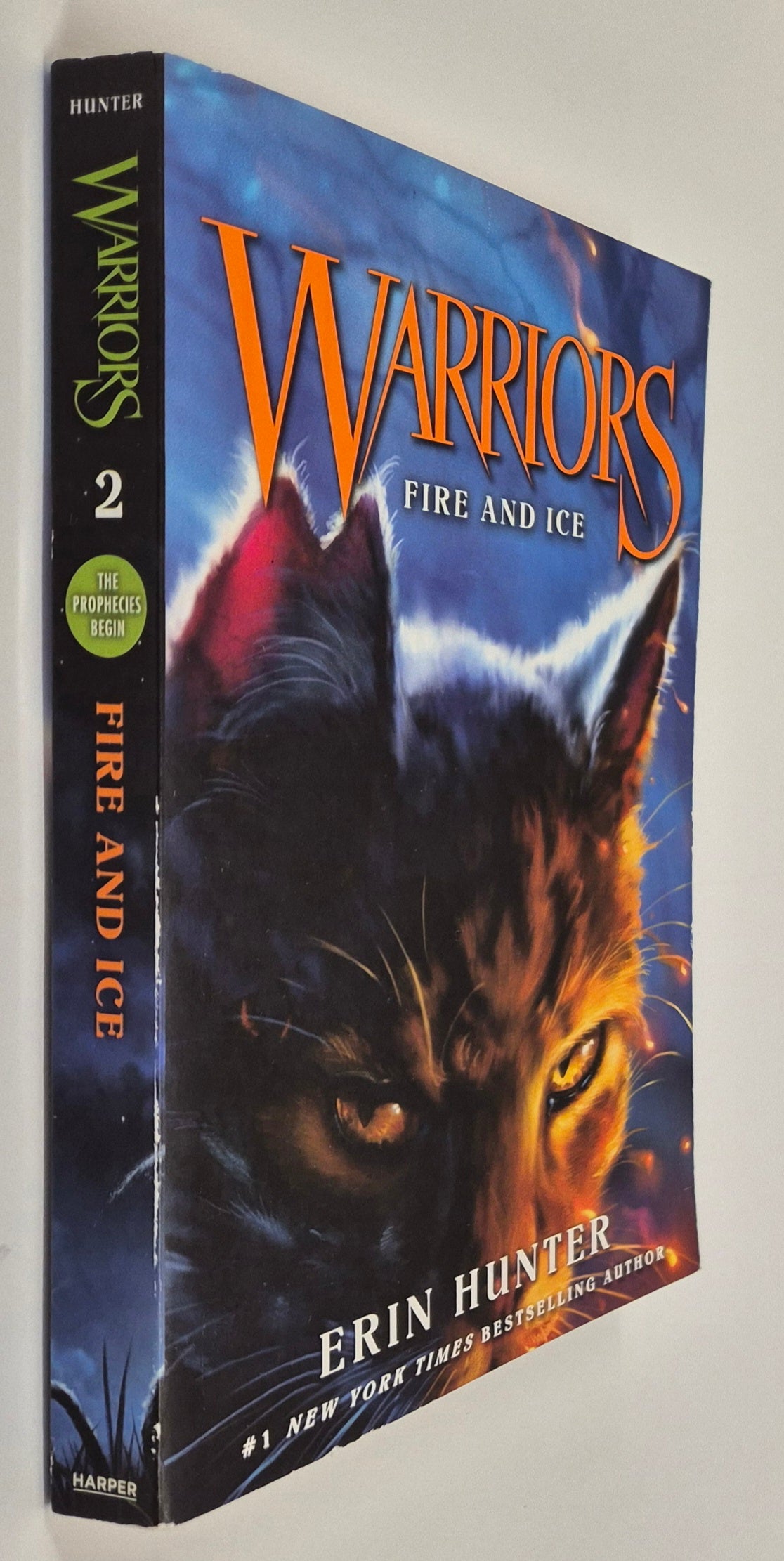 Fire and Ice (Warriors: The Prophecy Begins #2) by Erin Hunter