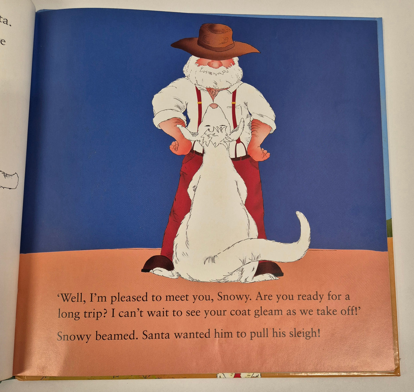 Snowy's Christmas by Sally Murphy