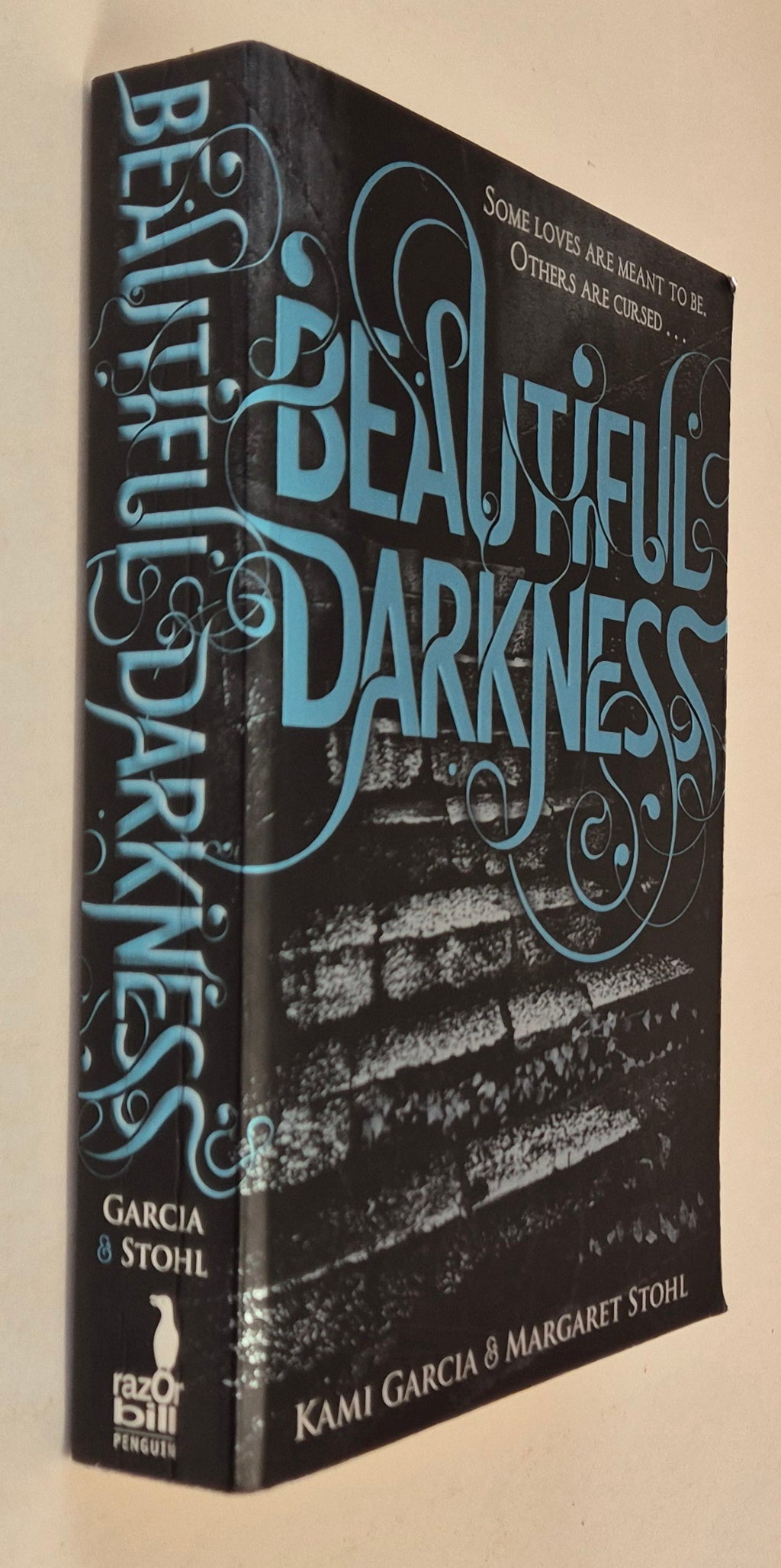 Beautiful Darkness (Caster Chronicles #2) by Kami Garcia + Margaret Stohl