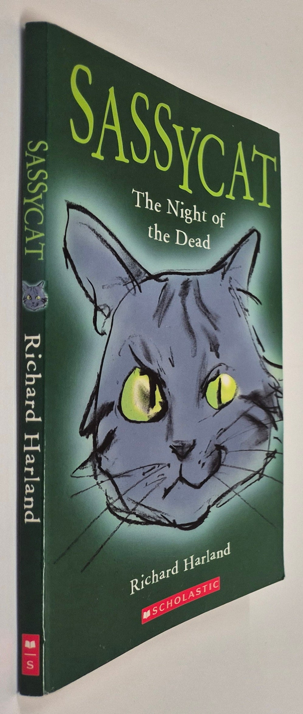 Sassycat: The Night of the Dead by Richard Harland