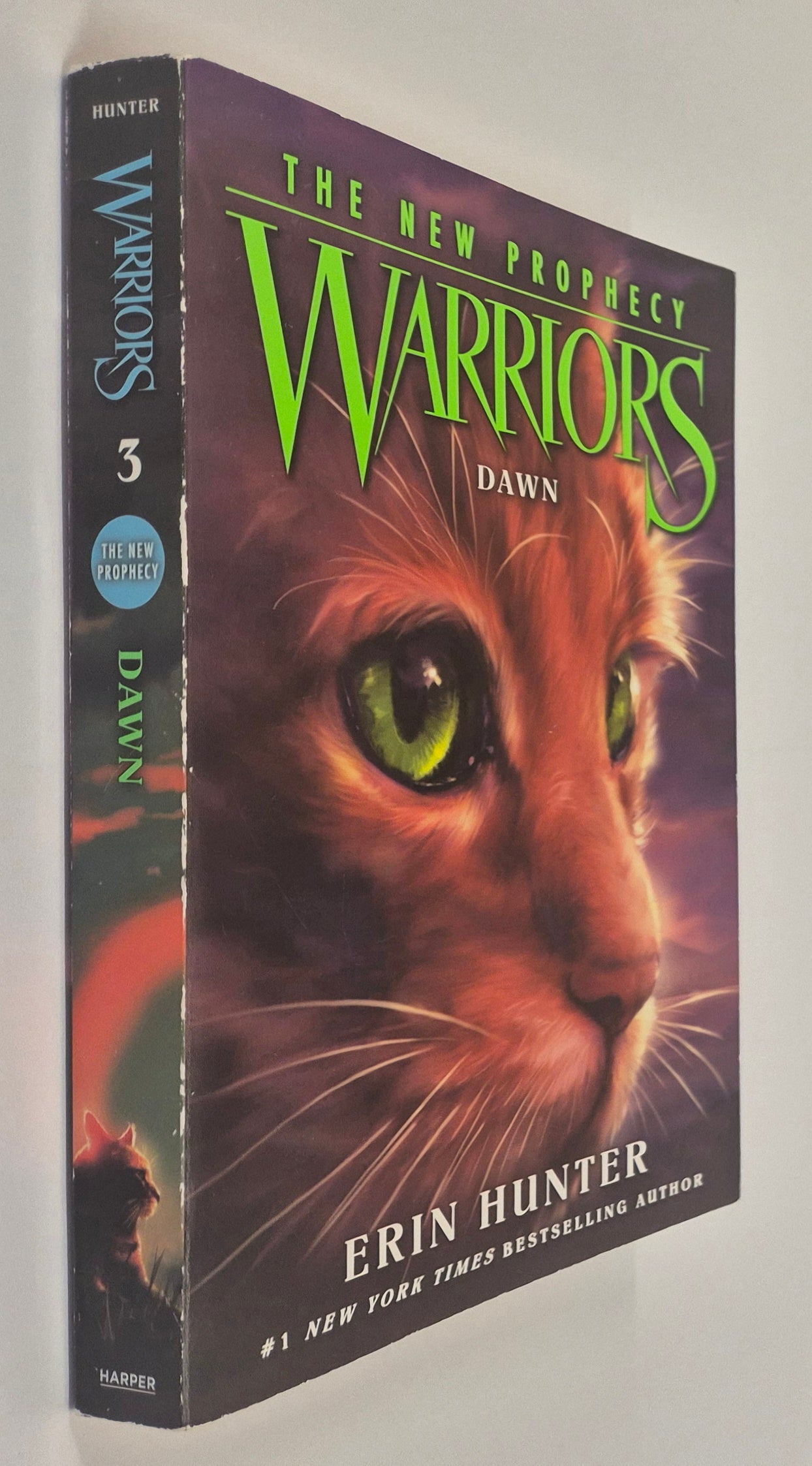 Dawn (Warriors: The New Prophecy #3) by Erin Hunter