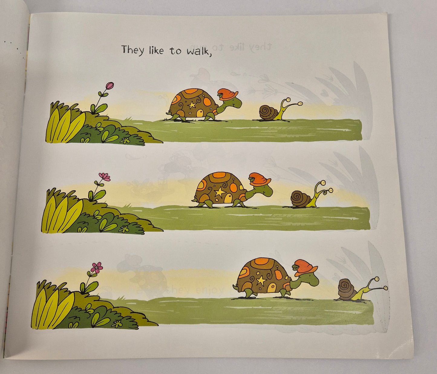 Snail and Turtle are Friends by Stephen Michael King