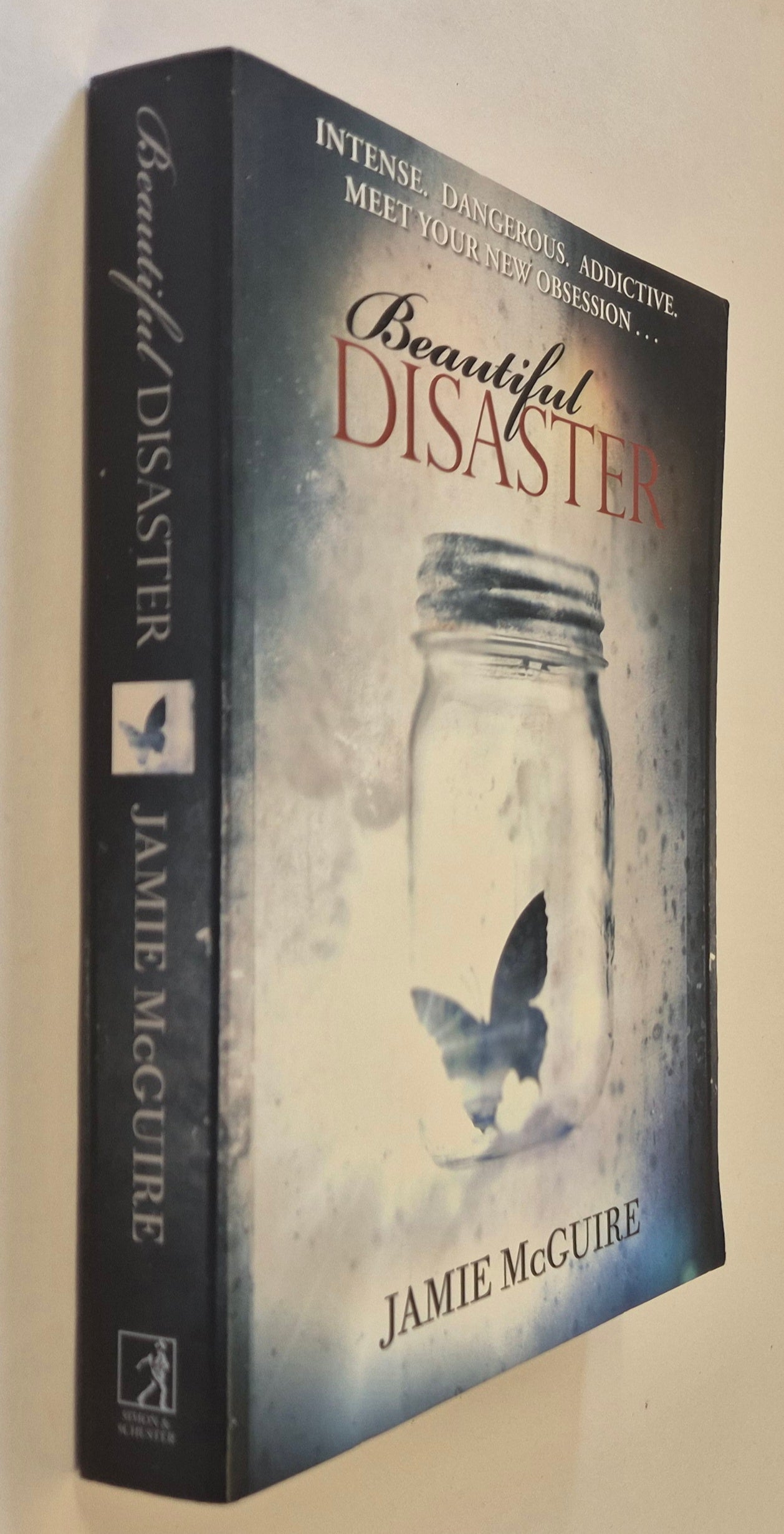 Beautiful Disaster (Beautiful #1) by Jamie McGuire