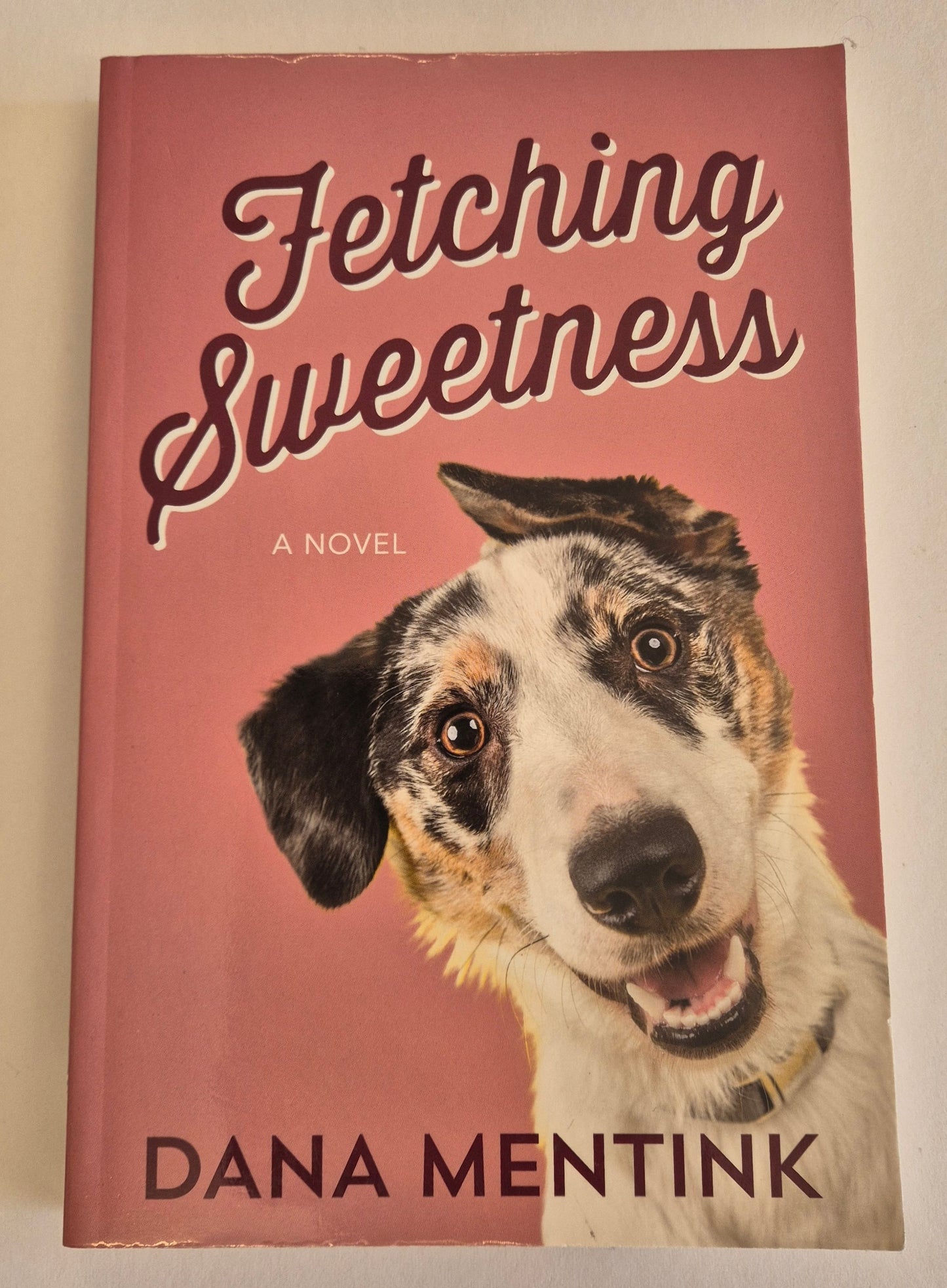 Fetching Sweetness (Love Unleashed #2) by Dana Mentink