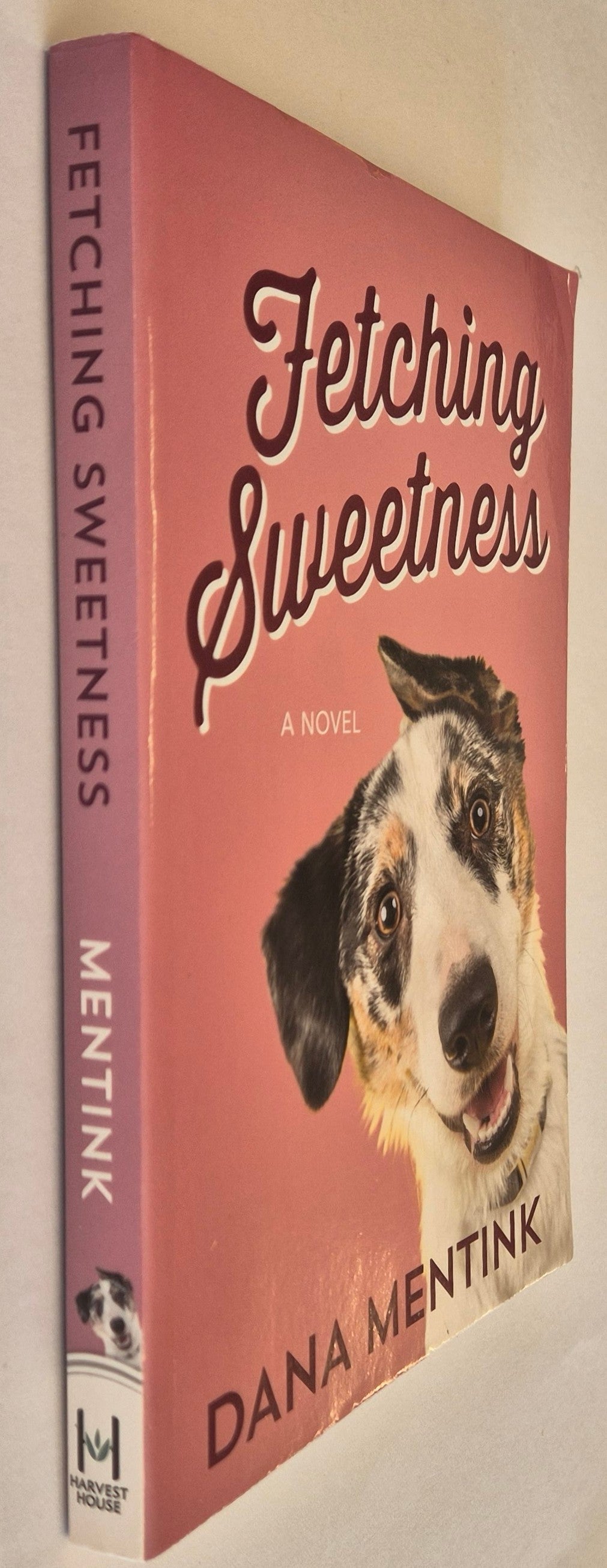 Fetching Sweetness (Love Unleashed #2) by Dana Mentink