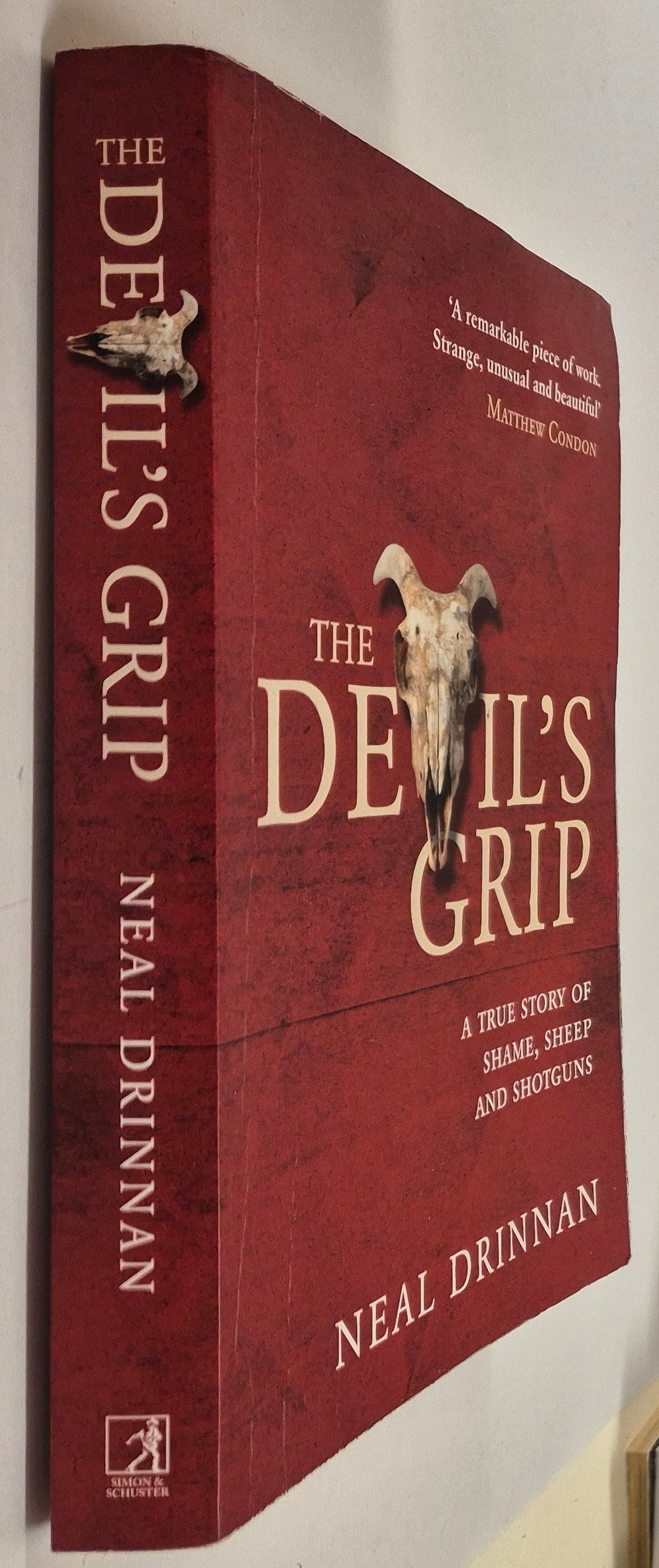 The Devil's Grip by Neal Drinnan