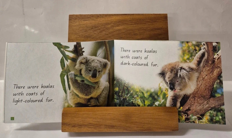 Rebecca Johnson & Steve Parish Books: Cockatoo Calling + Koala's Big Day + Little Devils + Turtle Tricks + Wombat's Secret
