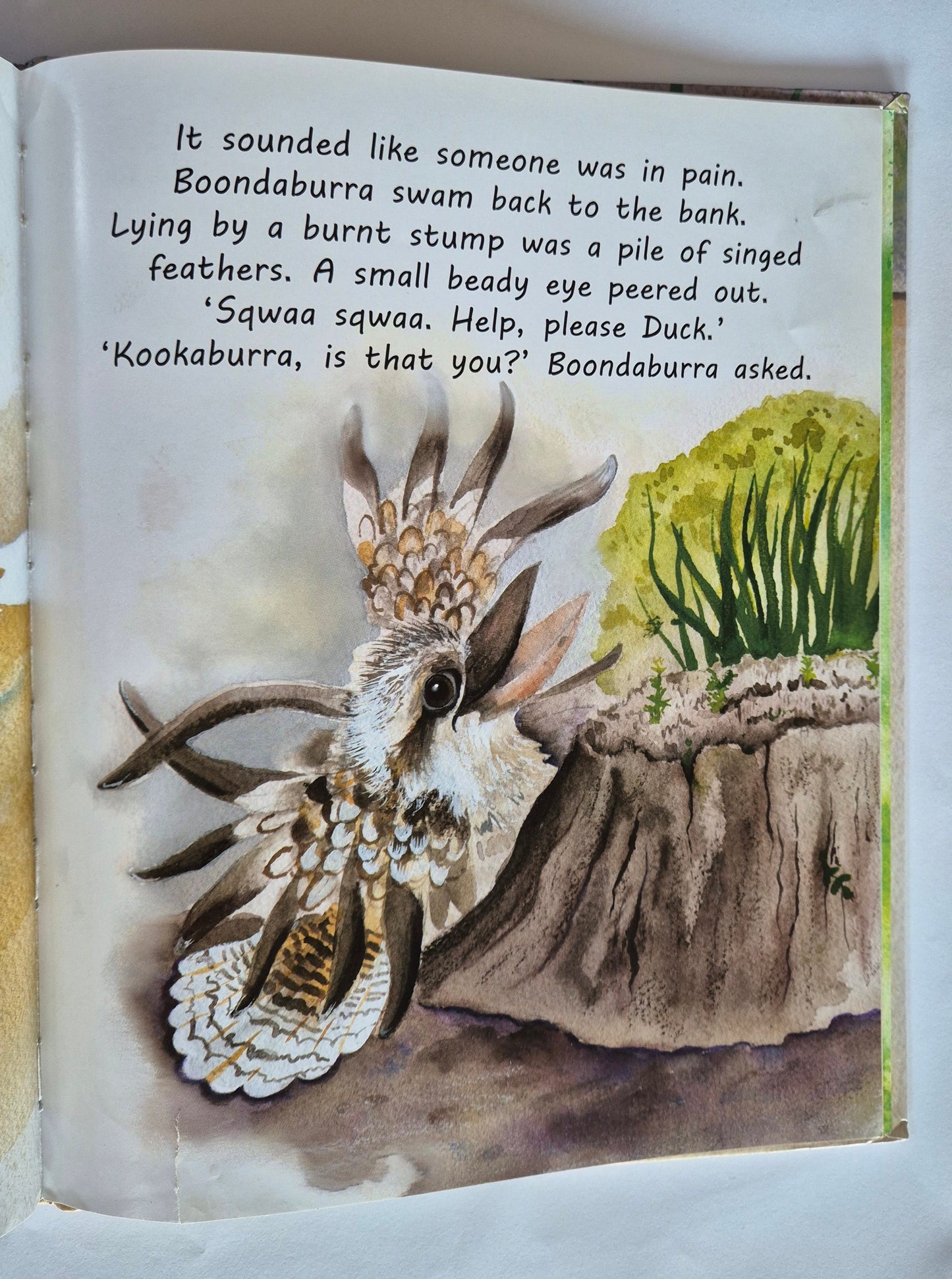 Boondaburra by Natalie Lonsdale