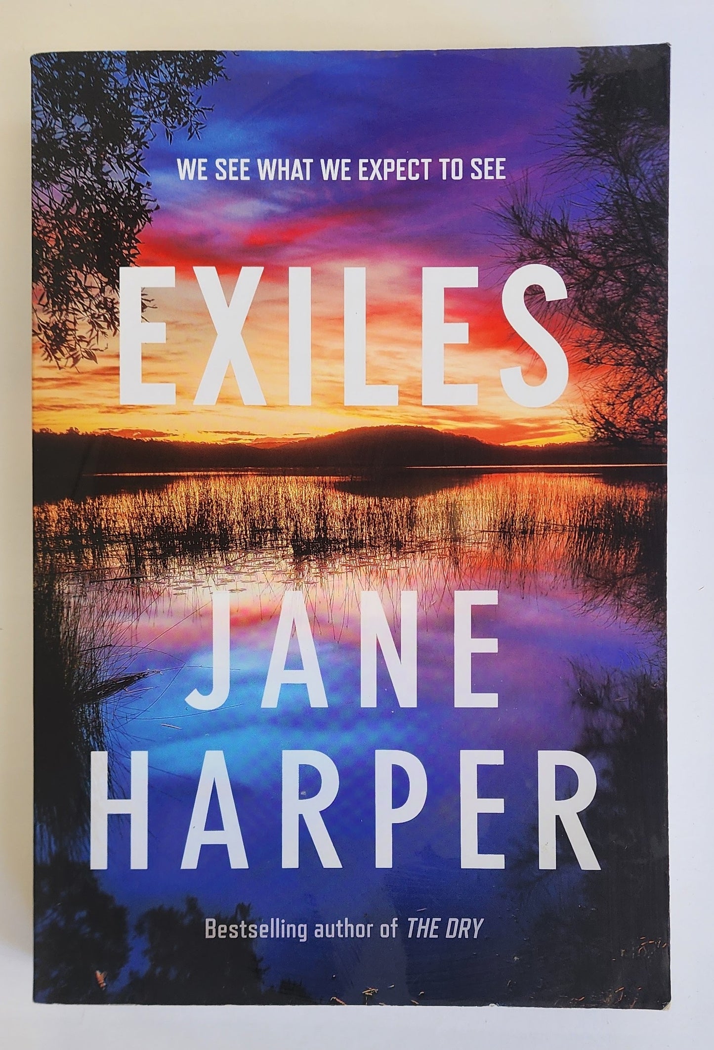 Exiles (Aaron Falk #3) by Jane Harper