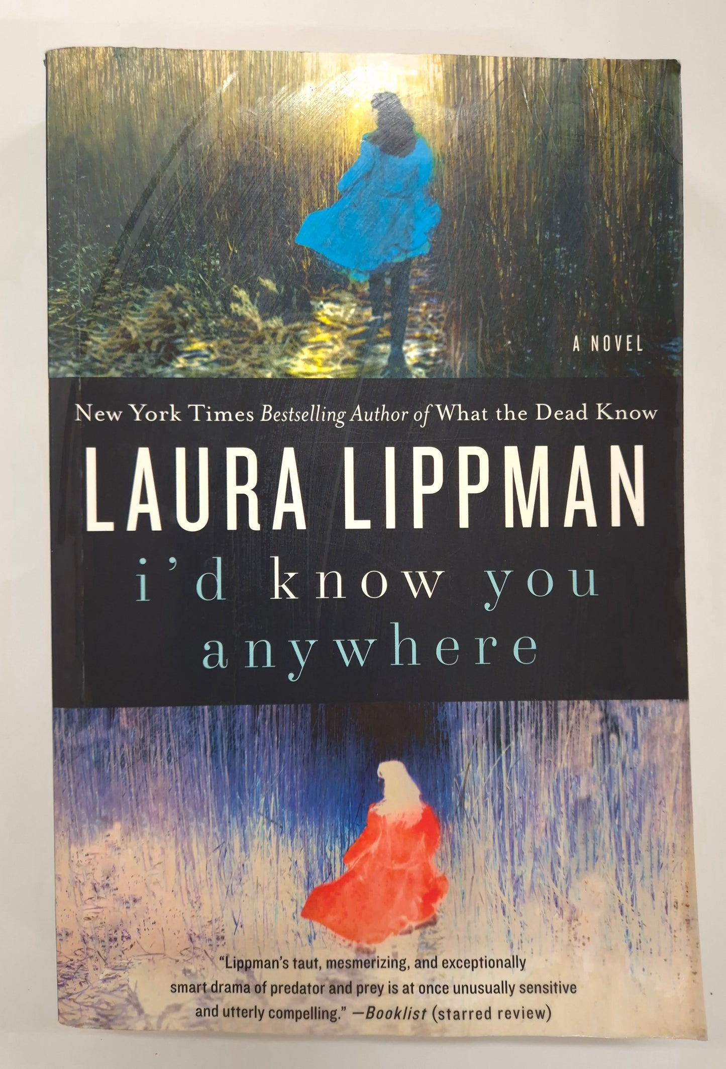 I'd Know you Anywhere by Laura Lippman
