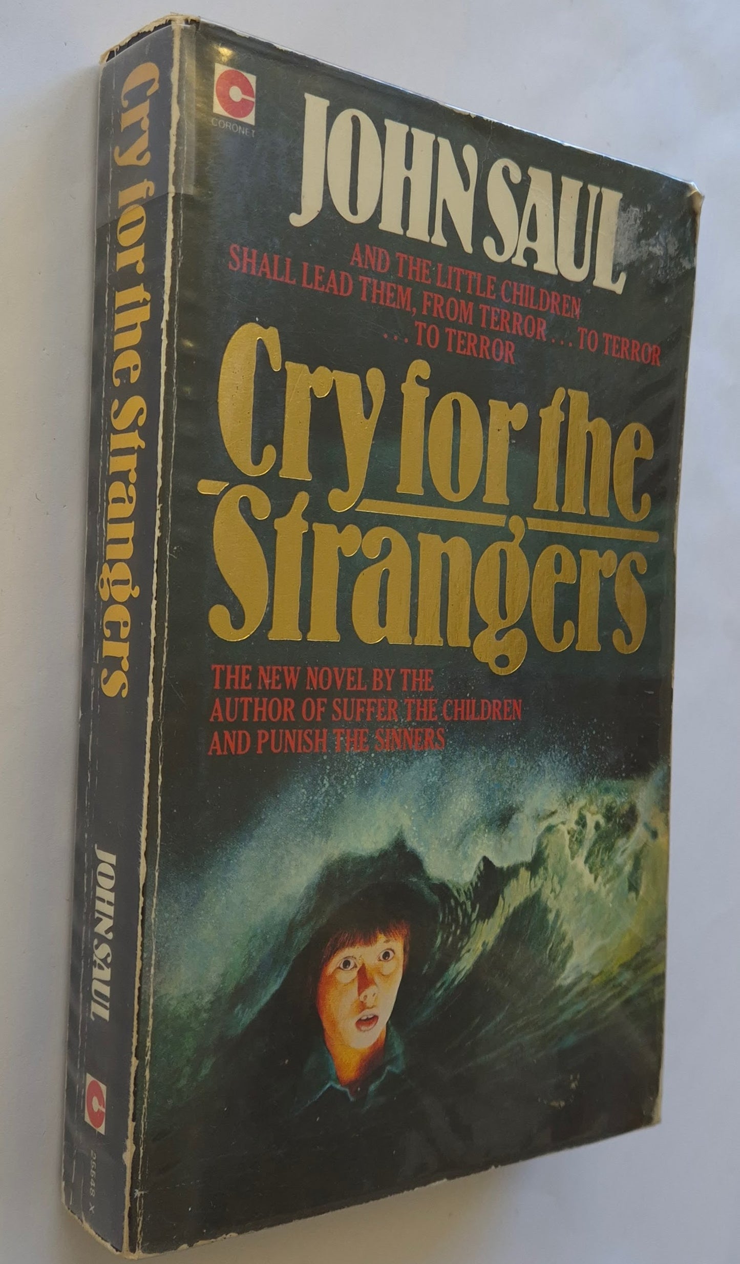 Cry for the Strangers by John Saul