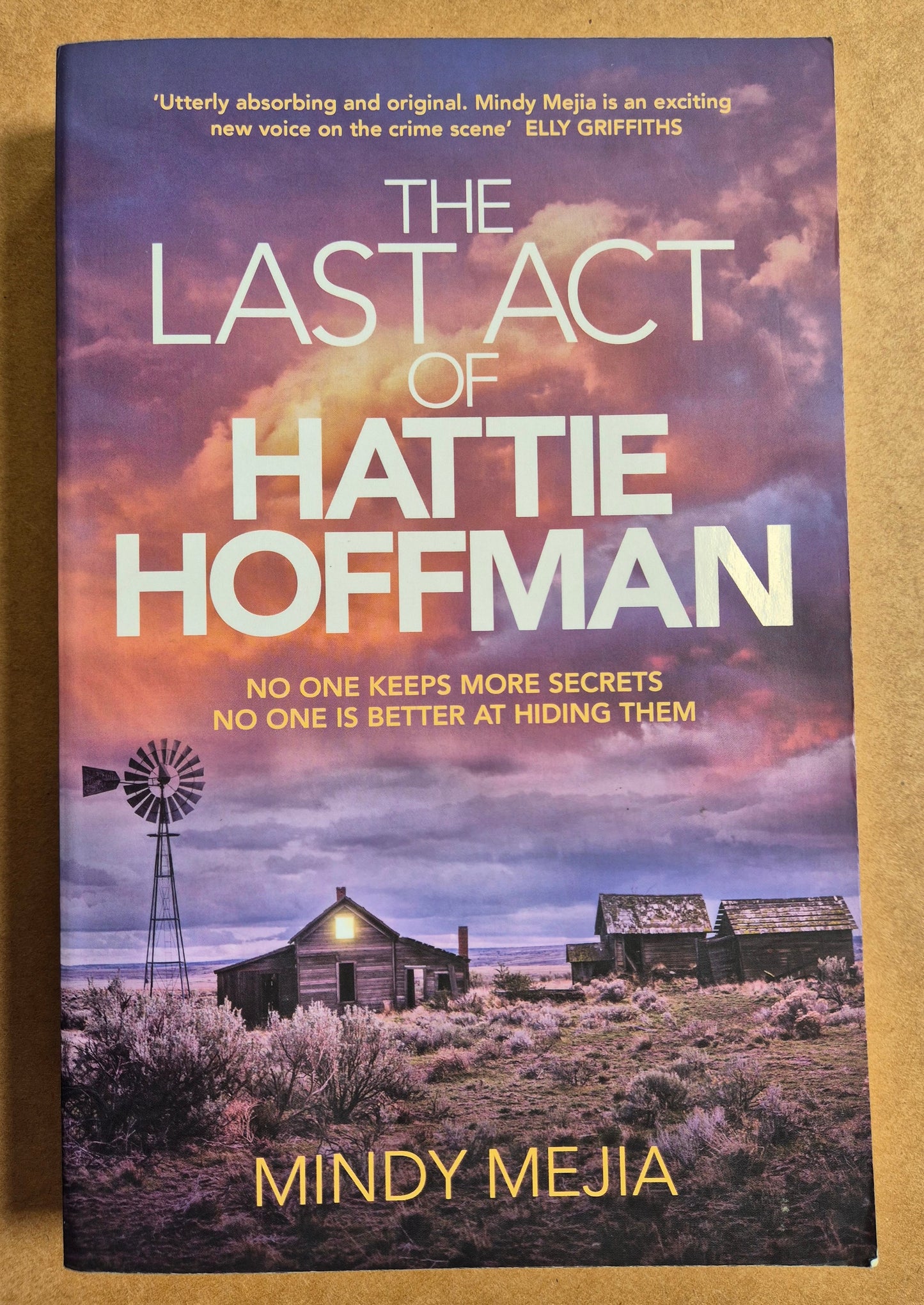 The Last Act of Hattie Hoffman by Mindy Mejia