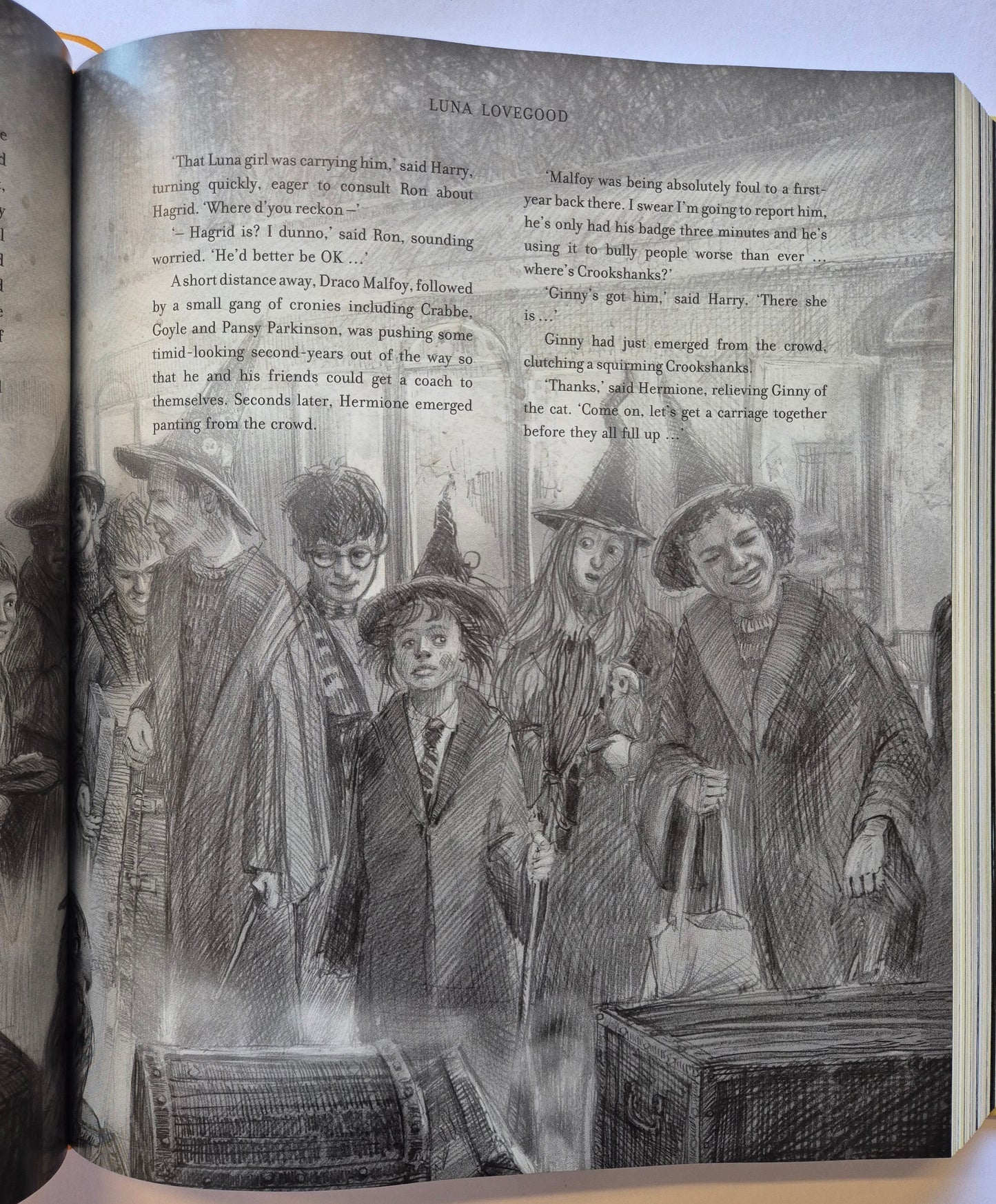 Harry Potter and the Order of the Phoenix (Harry Potter #5) by J. K. Rowling - Illustrated Edition