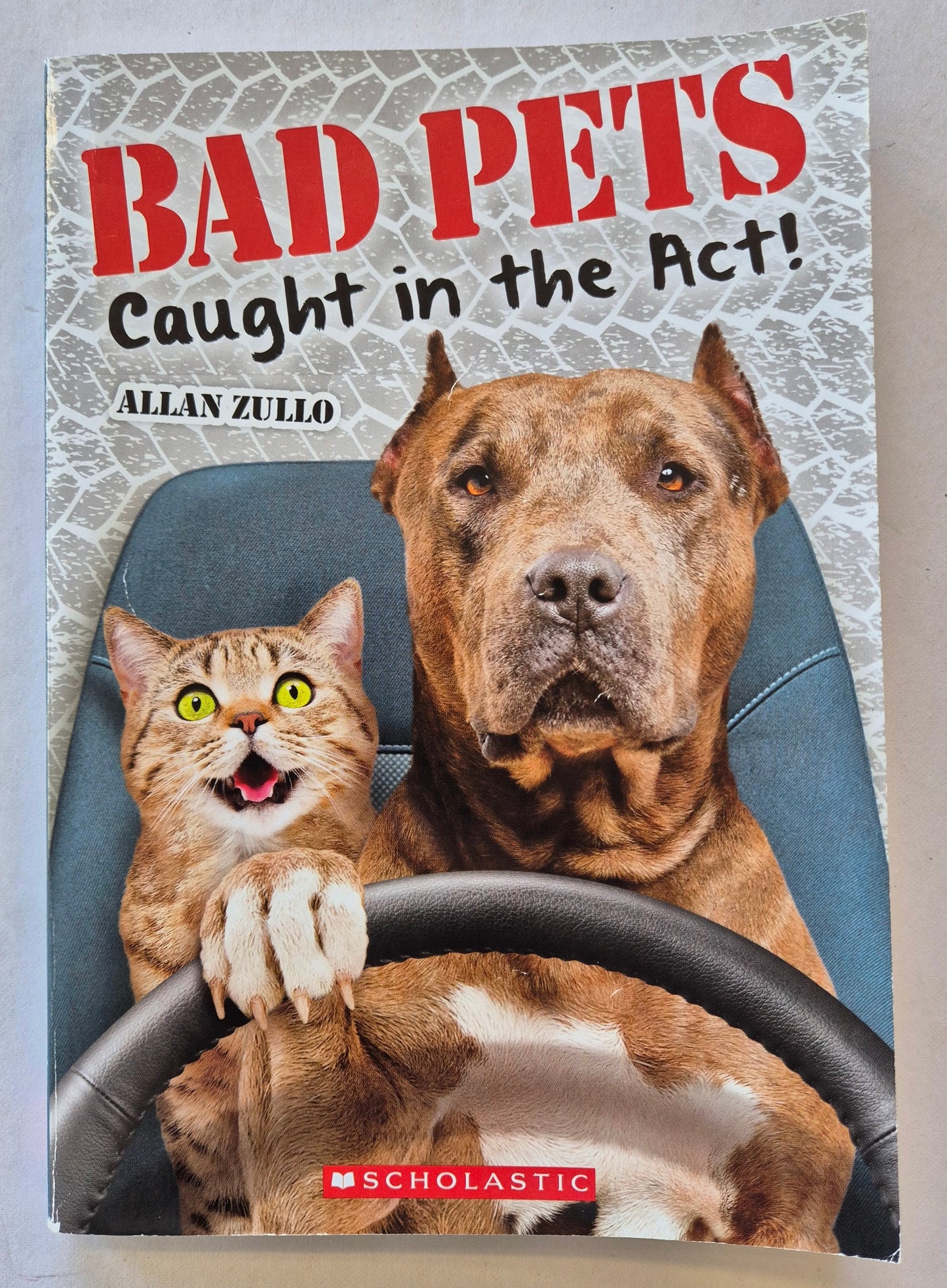 Bad Pets Caught in the Act! by Allan Zullo