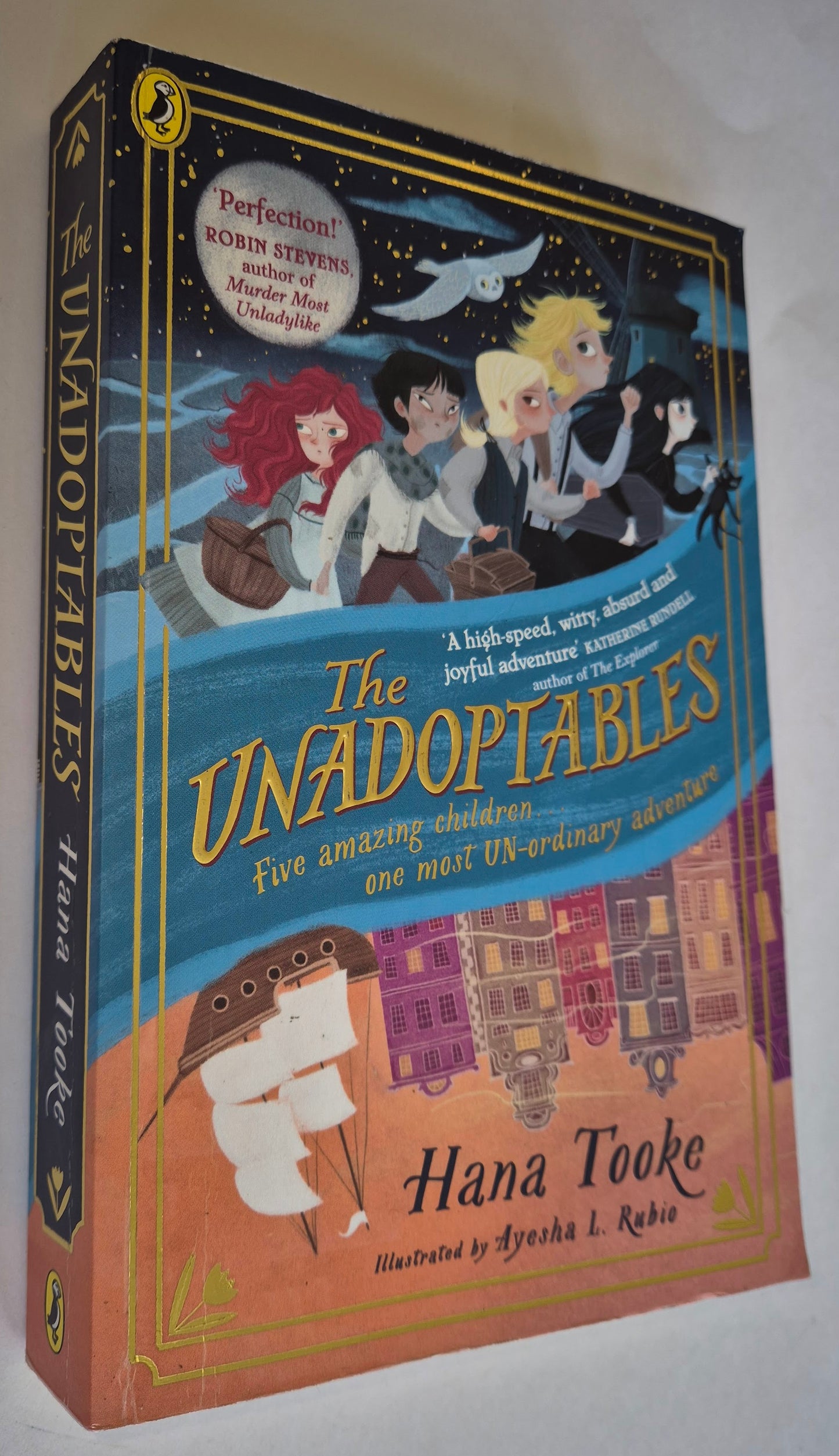 The Unadoptables by Hana Tooke
