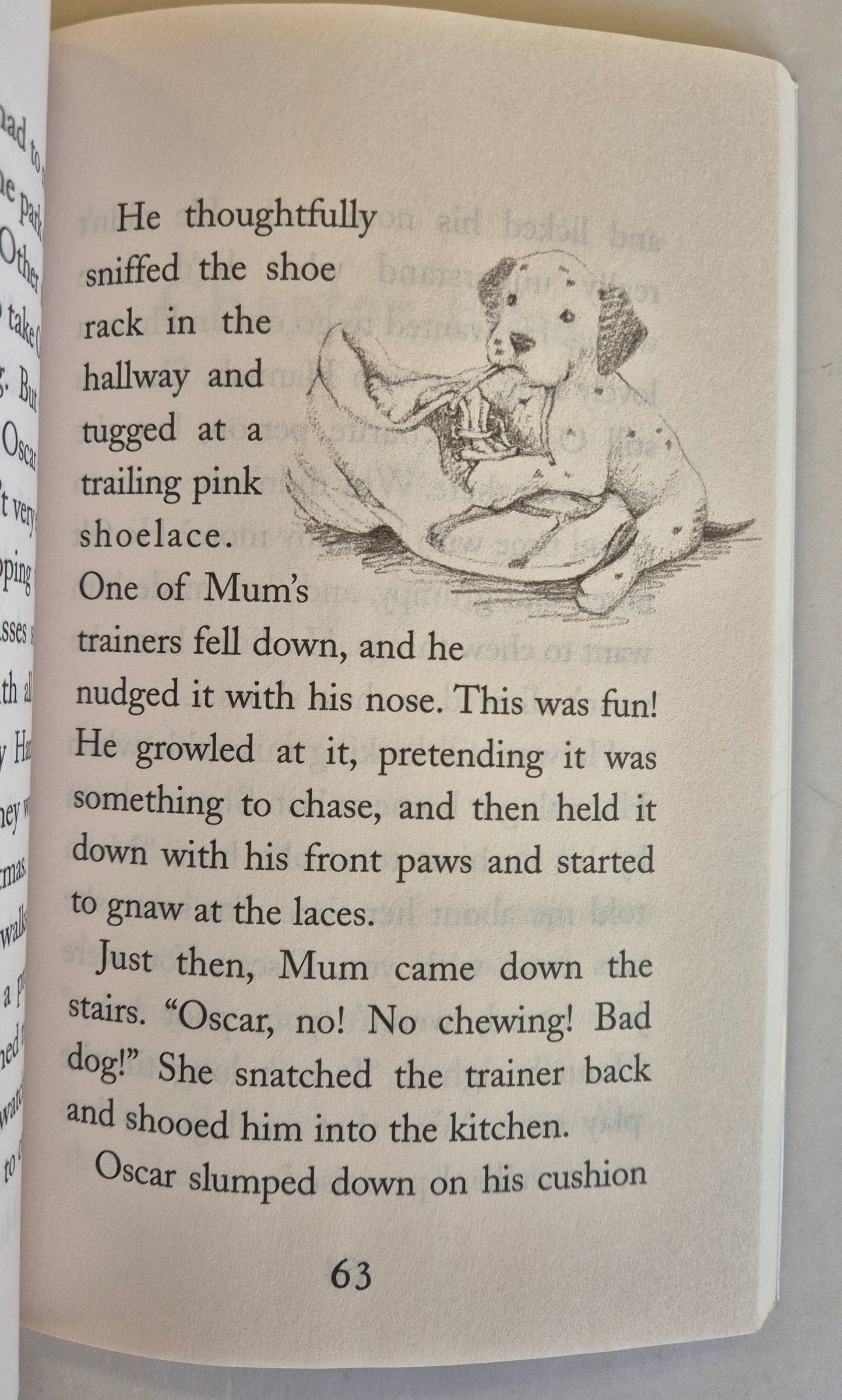 Oscar's Lonely Christmas (Animal Stories #11) by Holly Webb