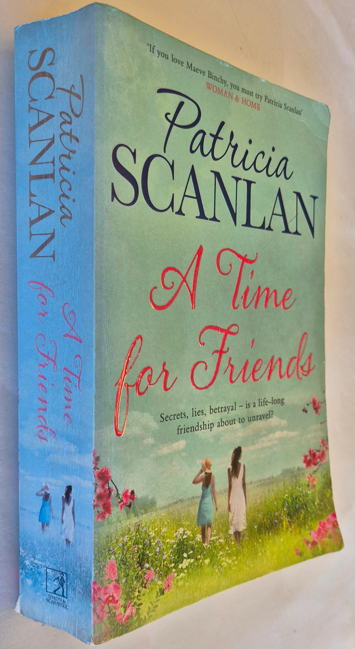 A Time for Friends by Patricia Scanlan