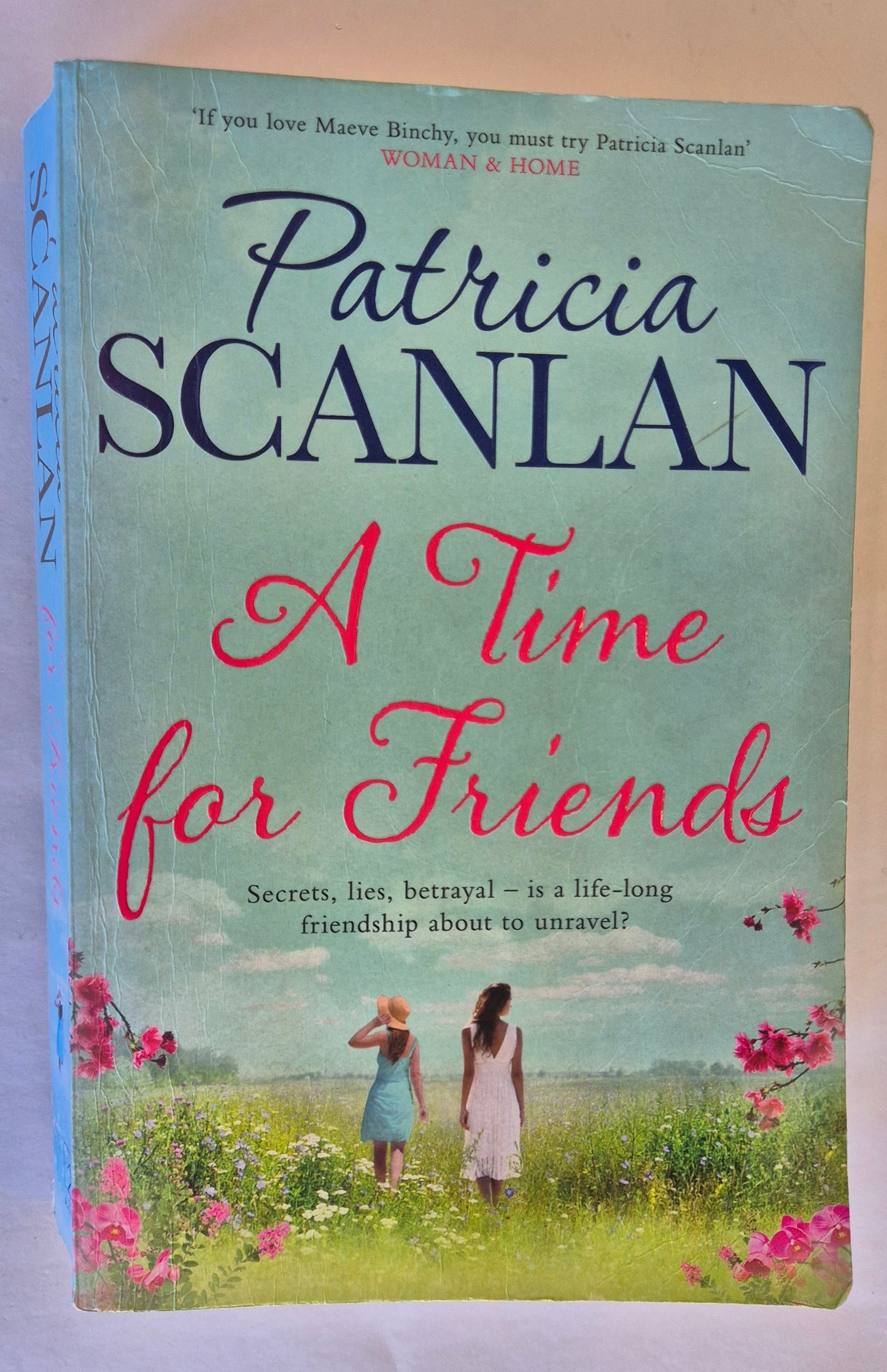 A Time for Friends by Patricia Scanlan