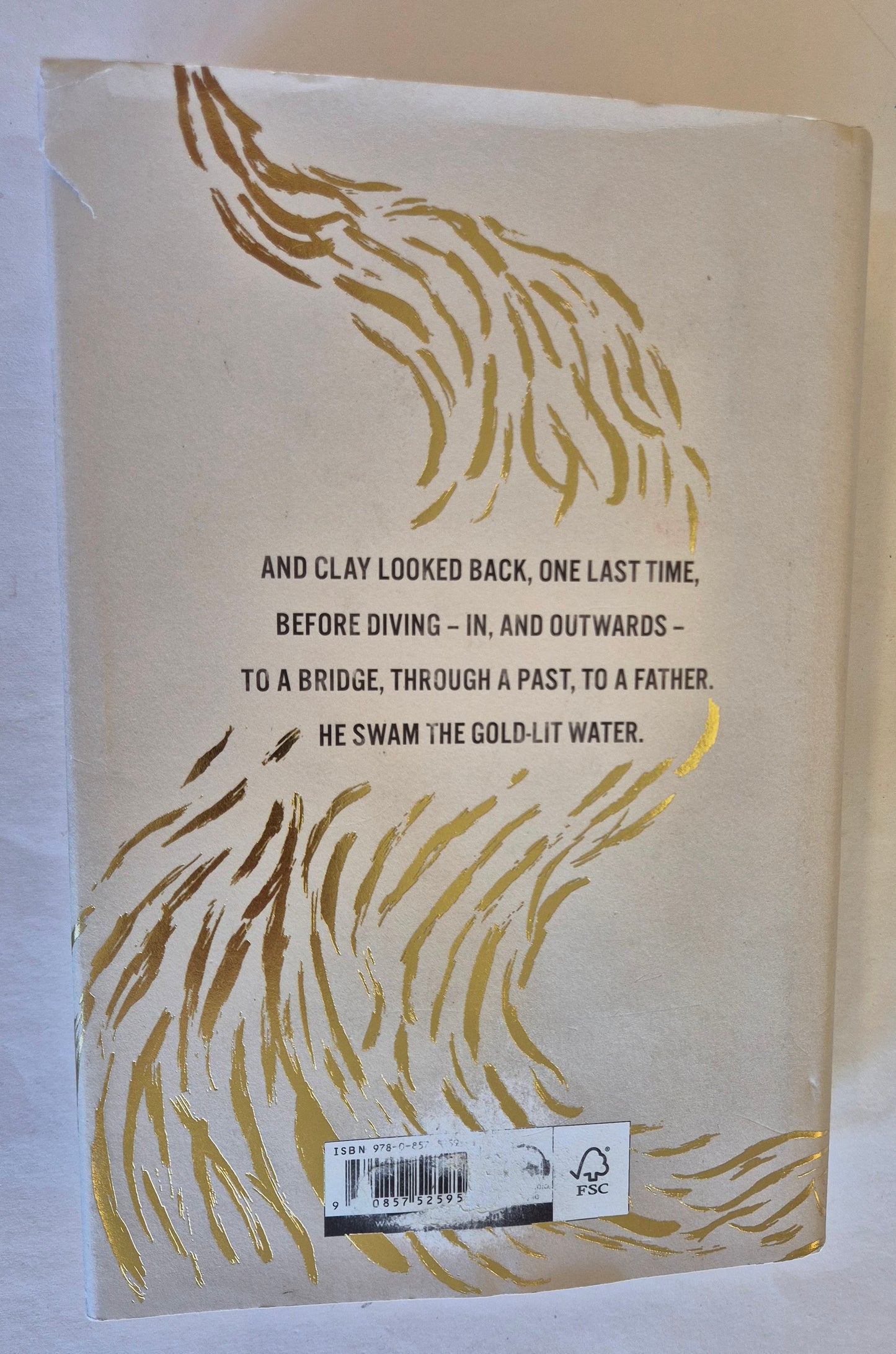 Bridge of Clay by Markus Zusak