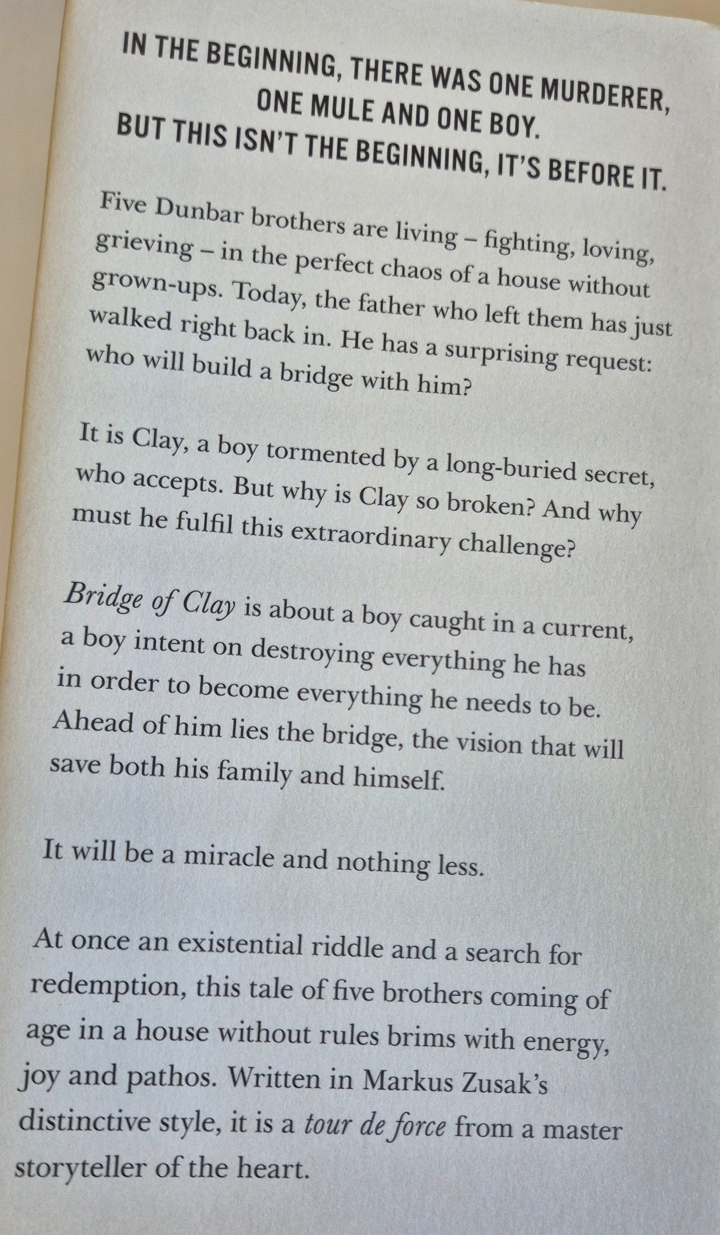 Bridge of Clay by Markus Zusak