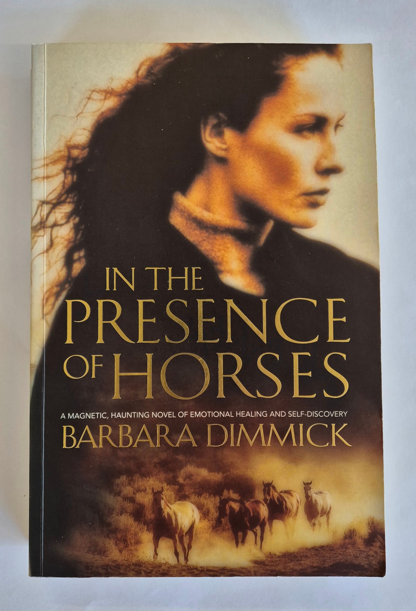 In The Presence of Horses by Barbara Dimmick