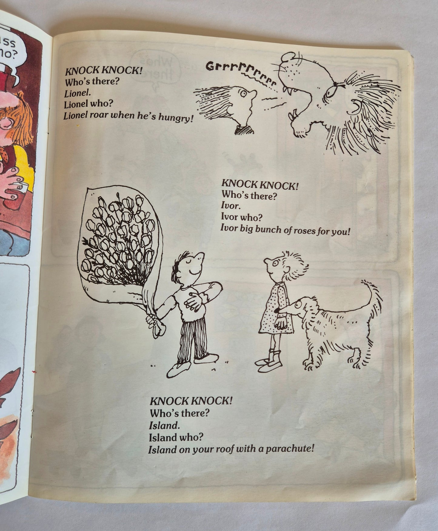 The Knock Knock Joke Book by Scoular Anderson