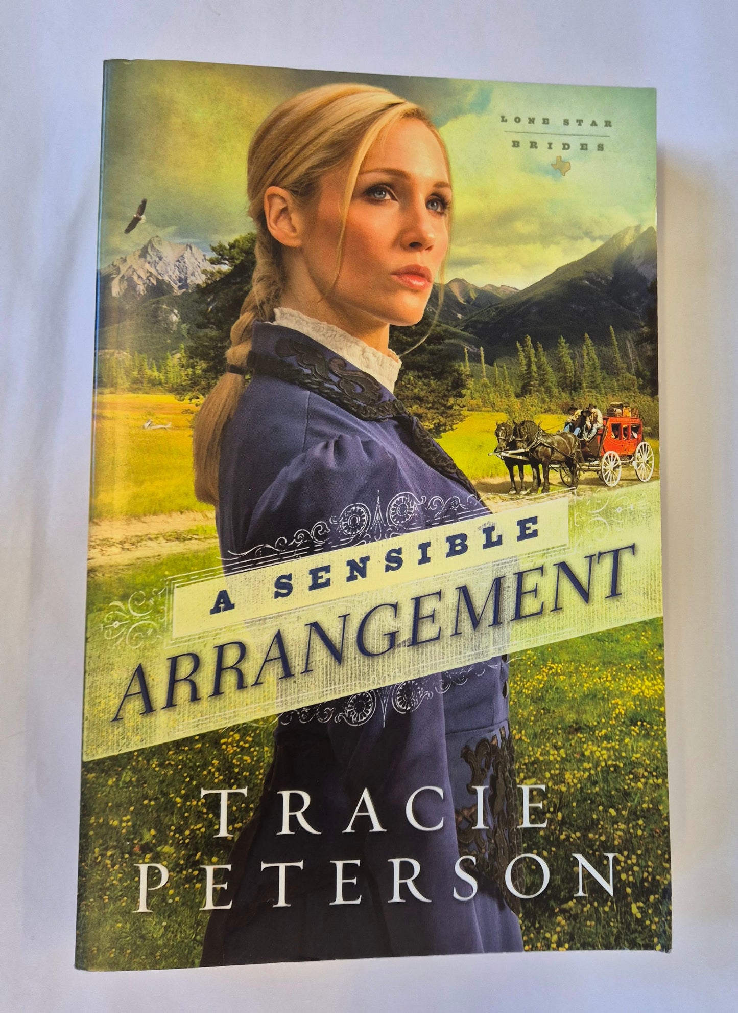 A Sensible Arrangement (Lone Star Brides #1) by Tracie Peterson