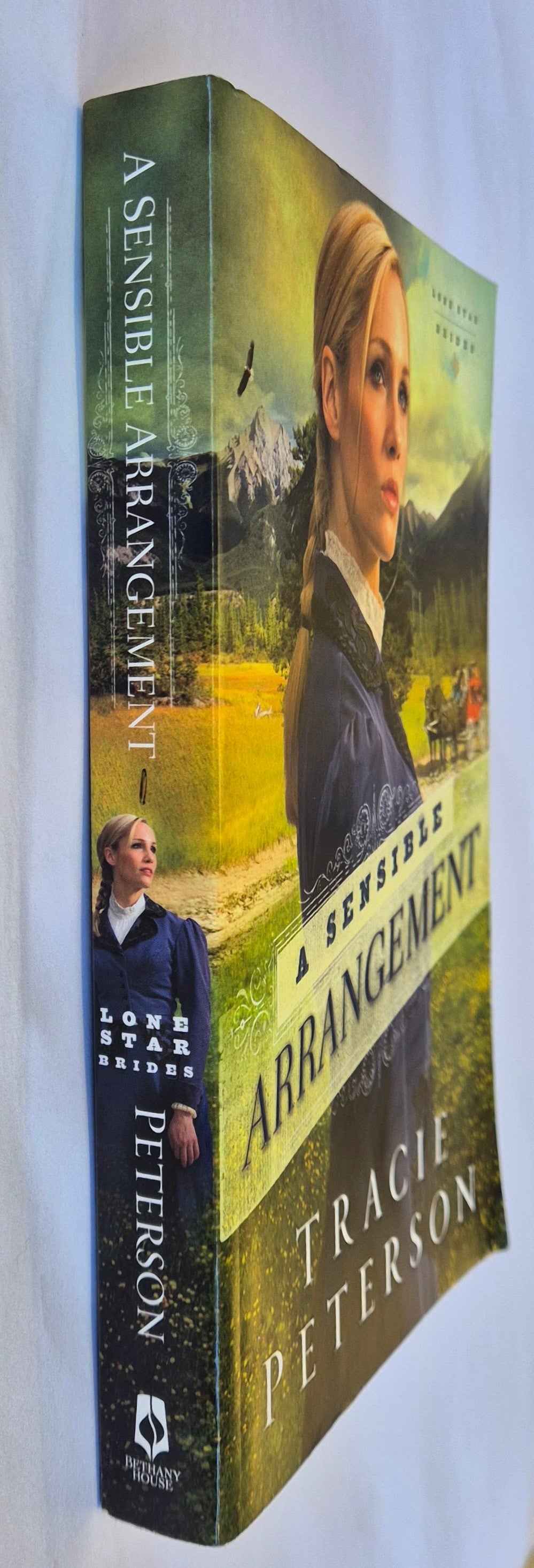 A Sensible Arrangement (Lone Star Brides #1) by Tracie Peterson