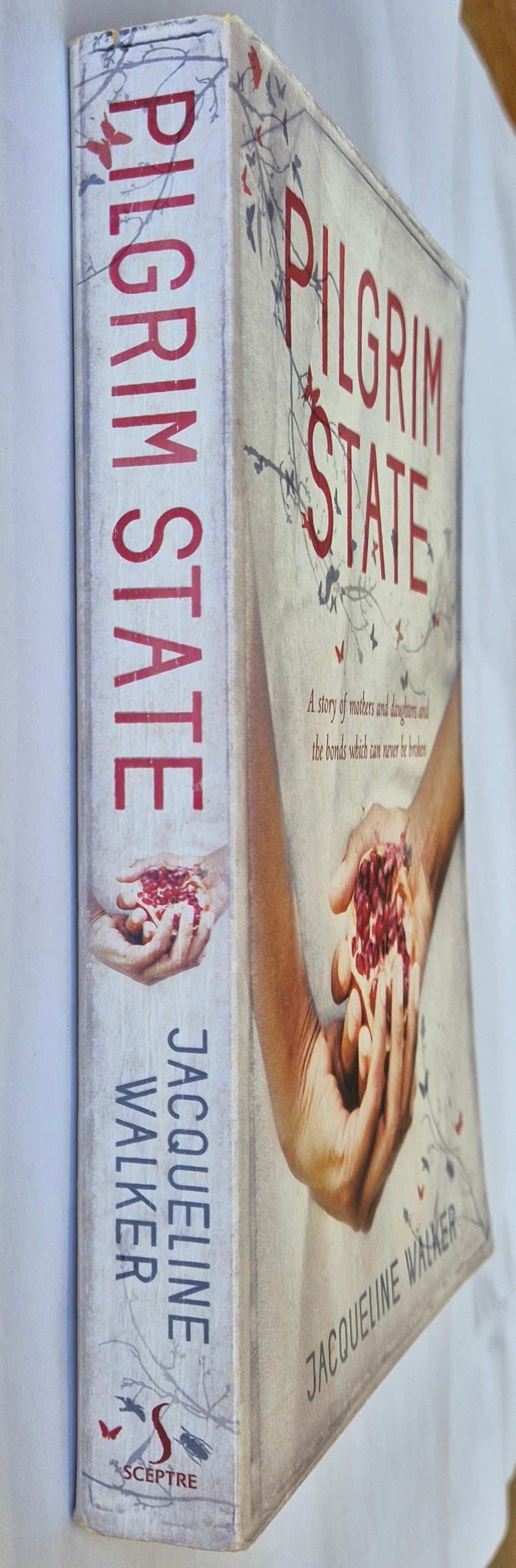 Pilgrim State by Jacqueline Walker