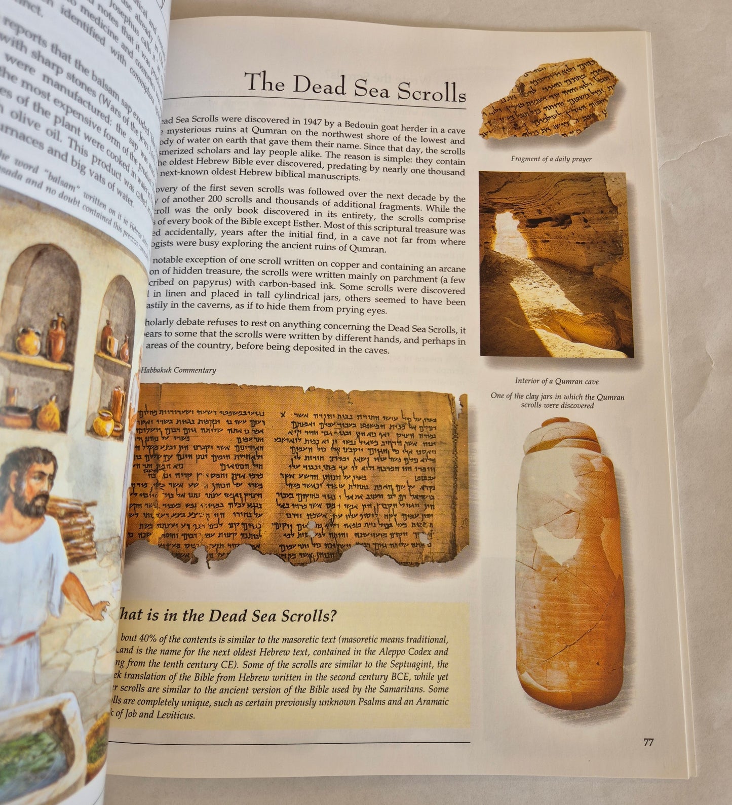 Daily Life at the Time of Jesus by Miriam Feinberg Vamosh
