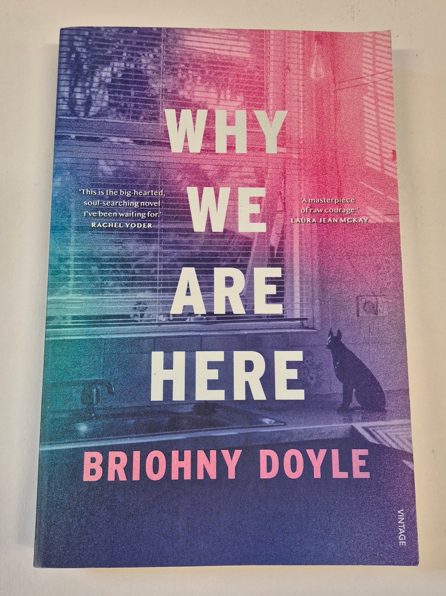 Why We Are Here by Briohny Doyle