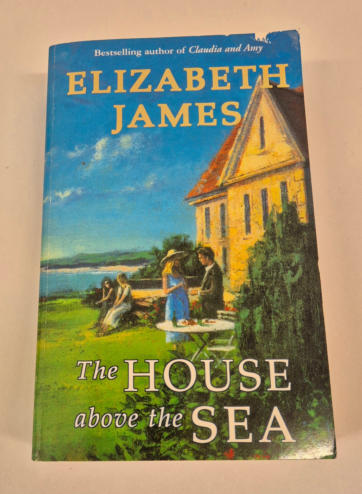 The House above the Sea by Elizabeth James