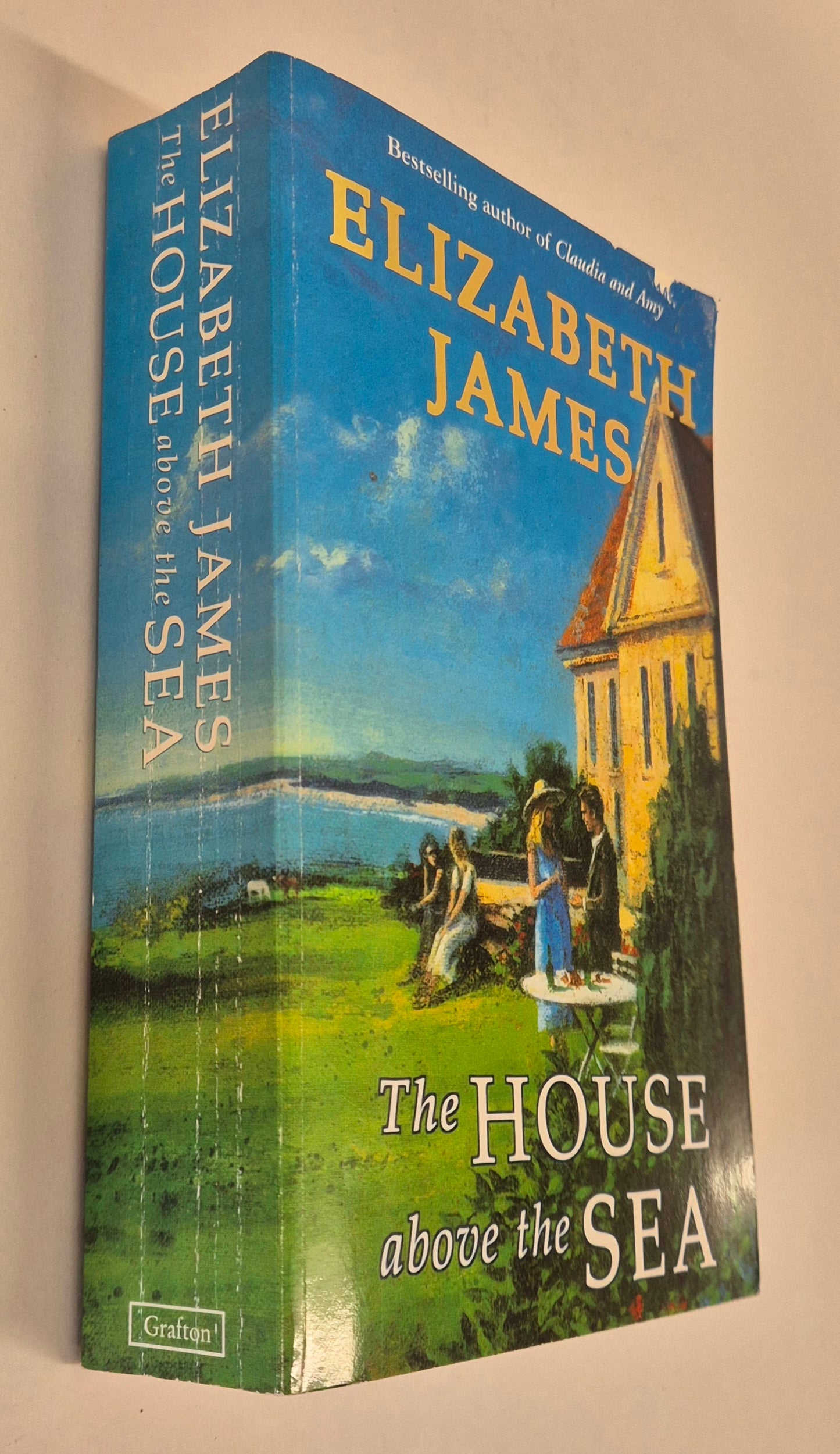 The House above the Sea by Elizabeth James