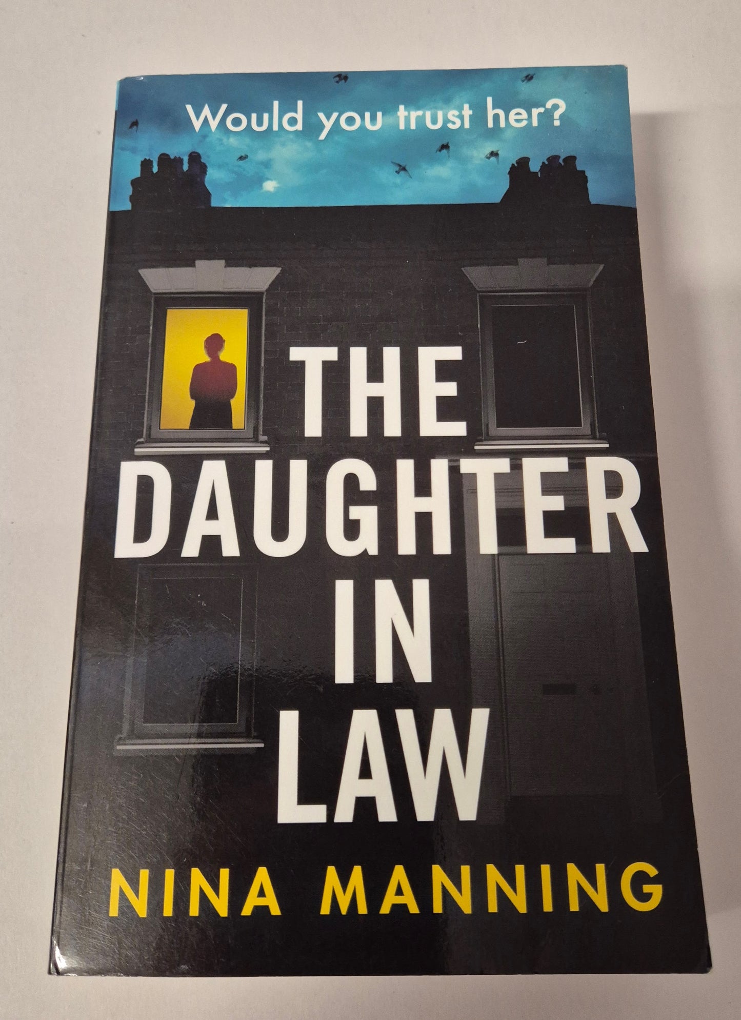 The Daughter in Law by Nina Manning