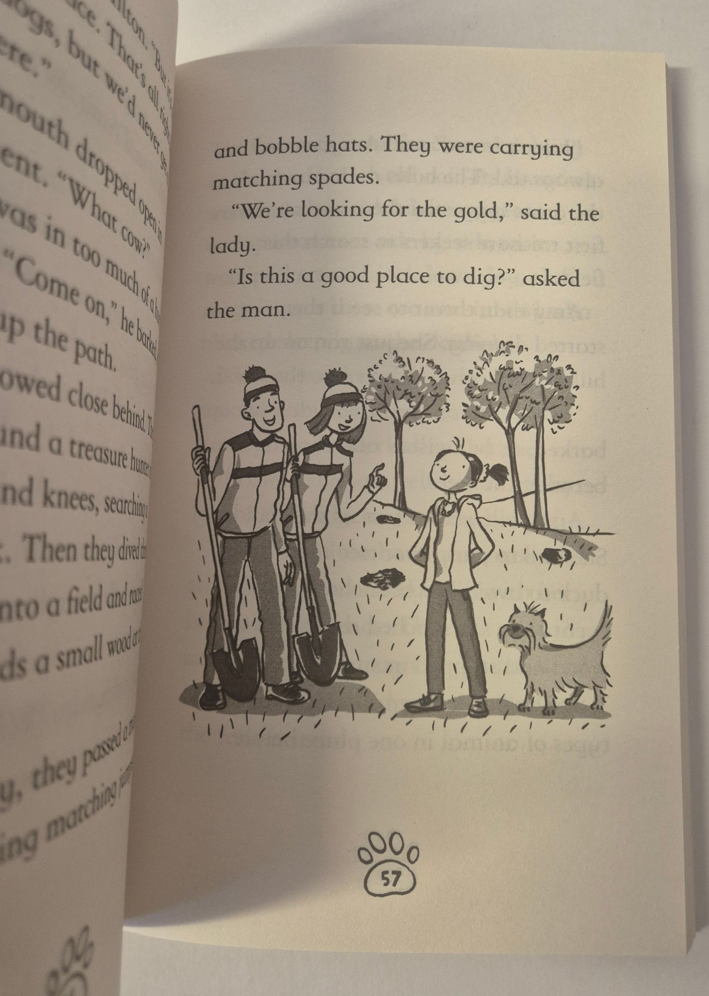 Amy Wild, Animal Talker: The Lost Treasure by Diana Kimpton