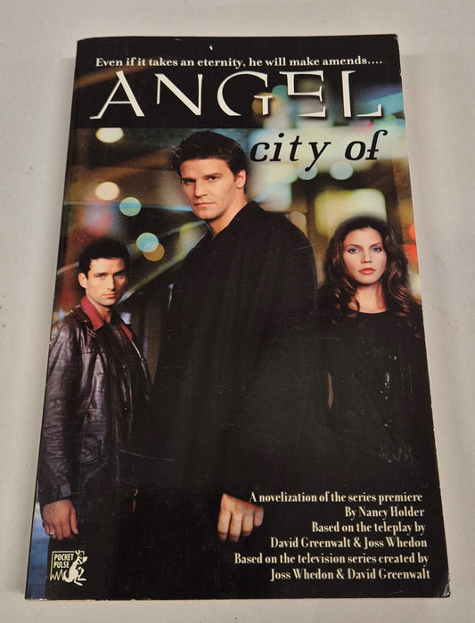 Angel: City of (Buffyverse Novels #44) by Nancy Holder