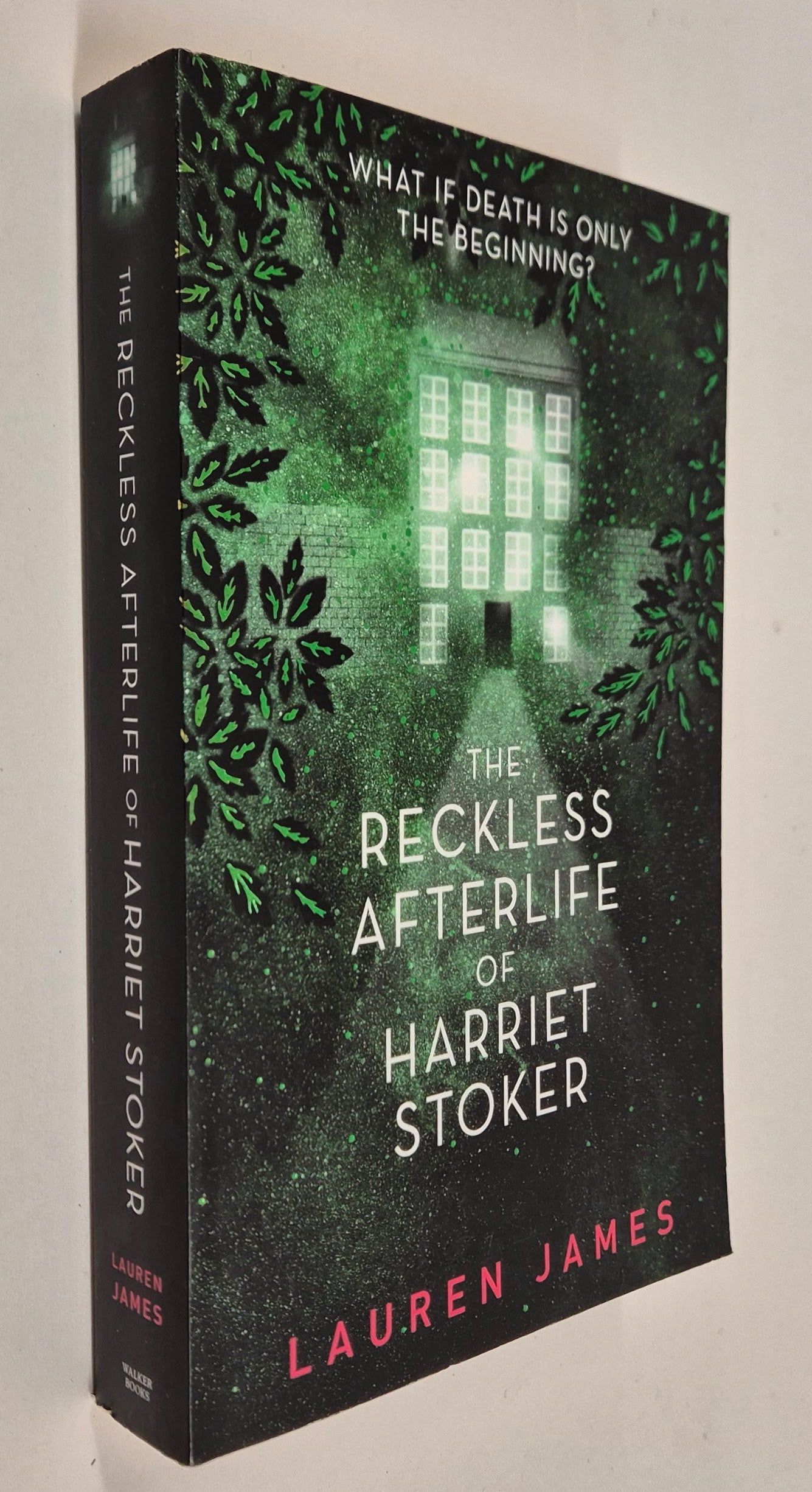 The Reckless Afterlife of Harriet Stoker by Lauren James