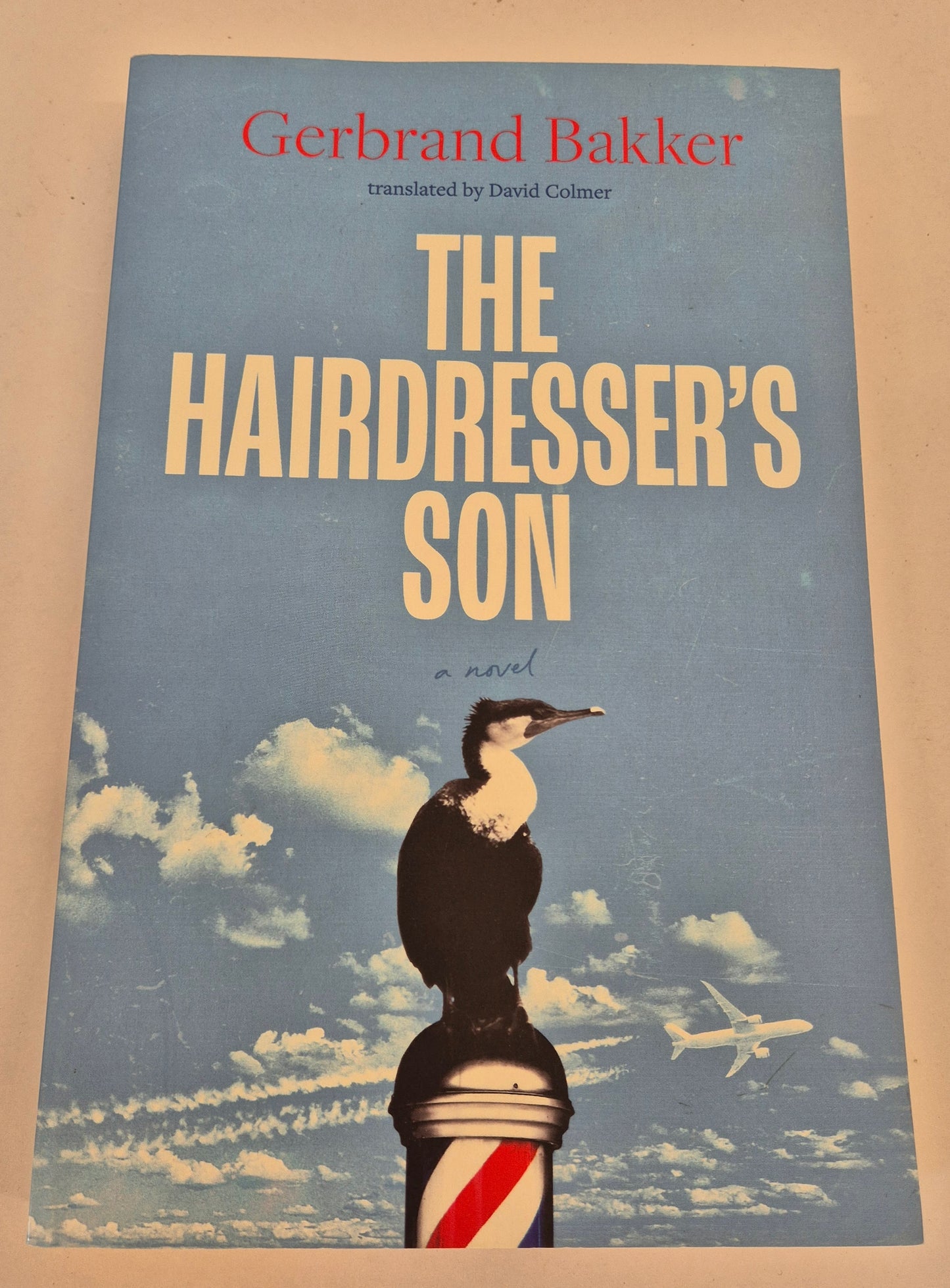 The Hairdresser's Son by Gerbrand Bakker