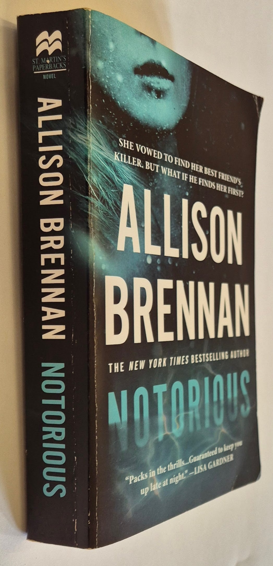 Notorious (Max Revere #1) by Allison Brennan