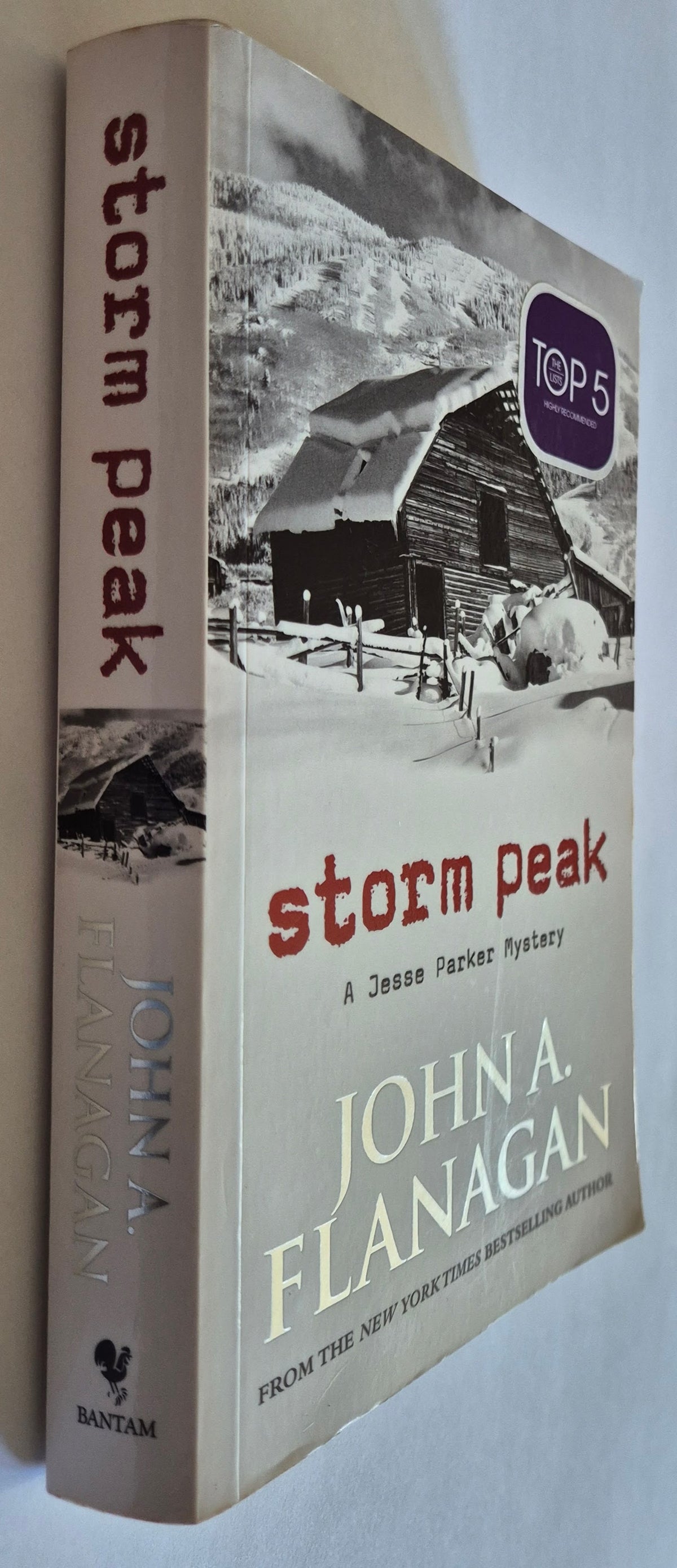 Storm Peak (Jesse Parker Mystery #1) by John A. Flanagan