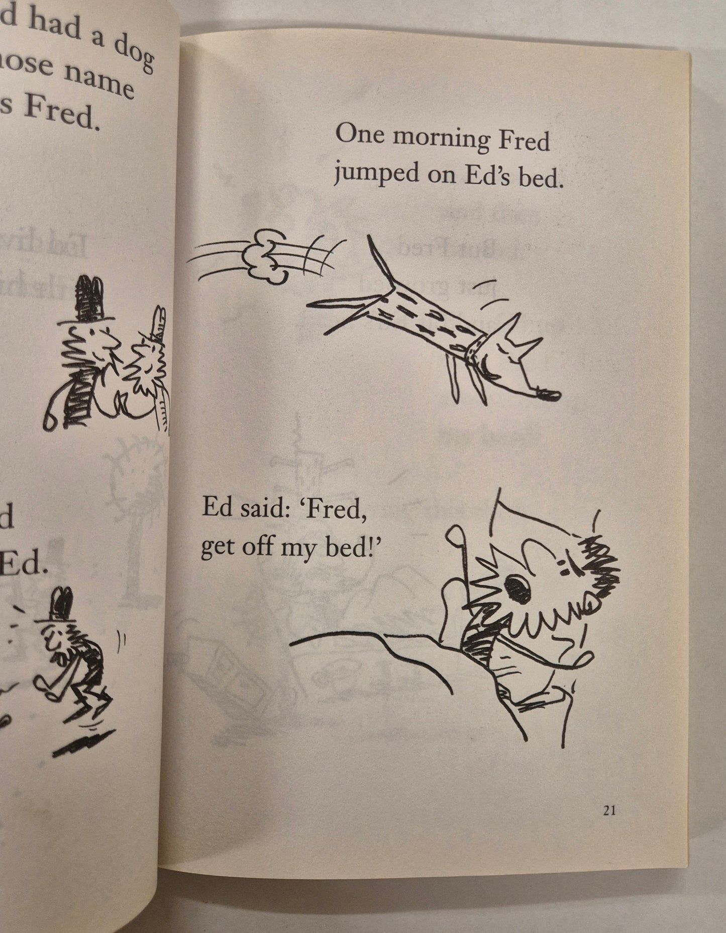 The Cat on the Mat is Flat by Andy Griffiths