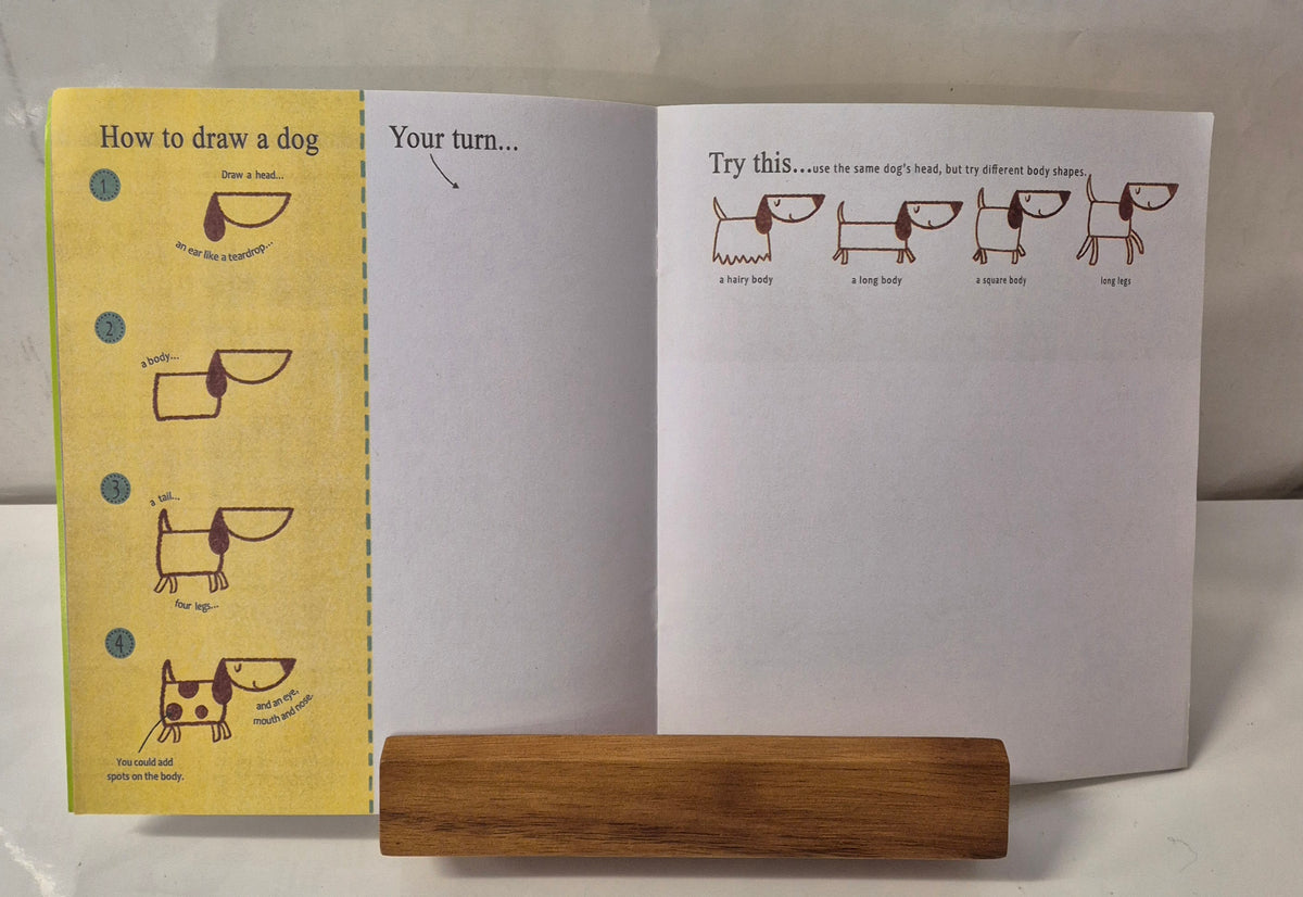 The Usborne Step-By-Step Drawing Book B by Fiona Watt