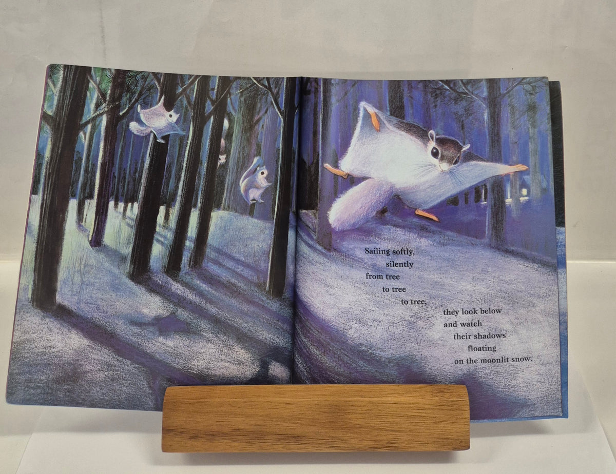 Night Gliders by Joanne Ryder
