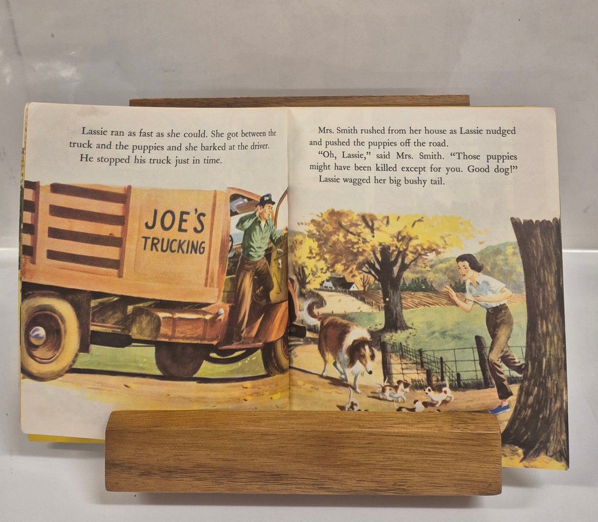 Lassie and Her Day In the Sun by Charles Spain Verral (A Little Golden Book)