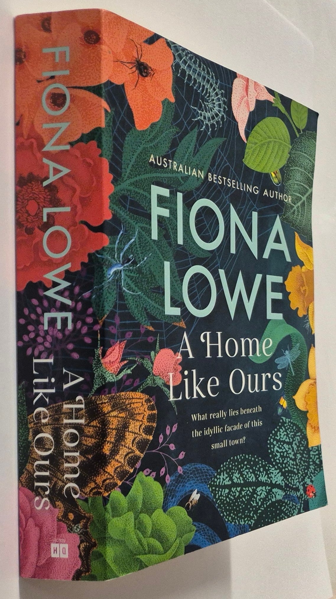 A Home Like Ours by Fiona Lowe