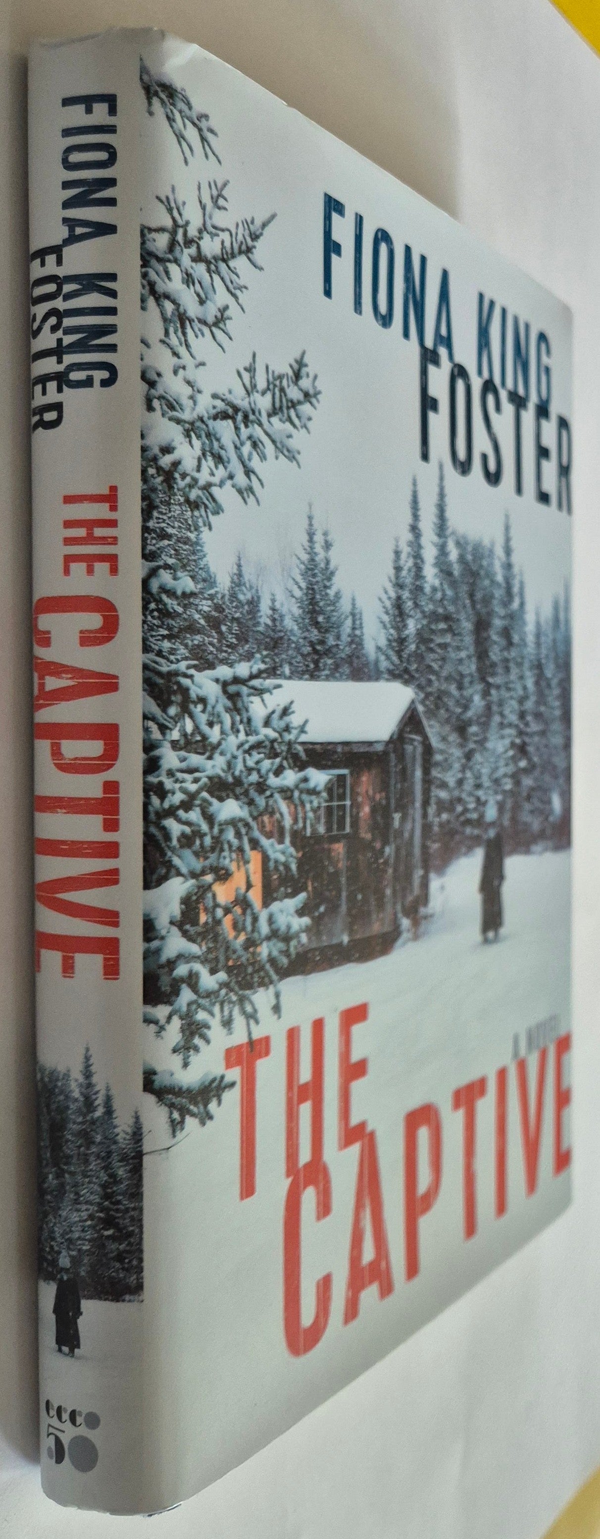 The Captive by Fiona King Foster