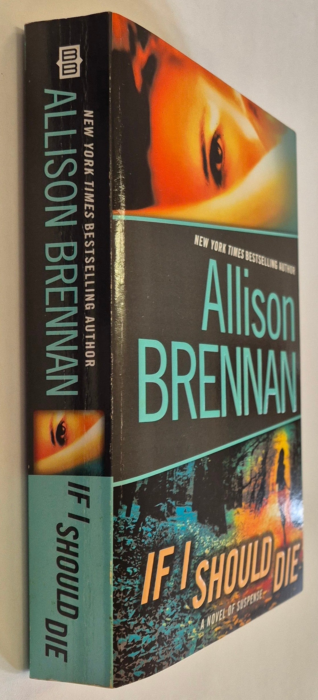 If I Should Die (Lucy Kincaid #3) by Allison Brennan